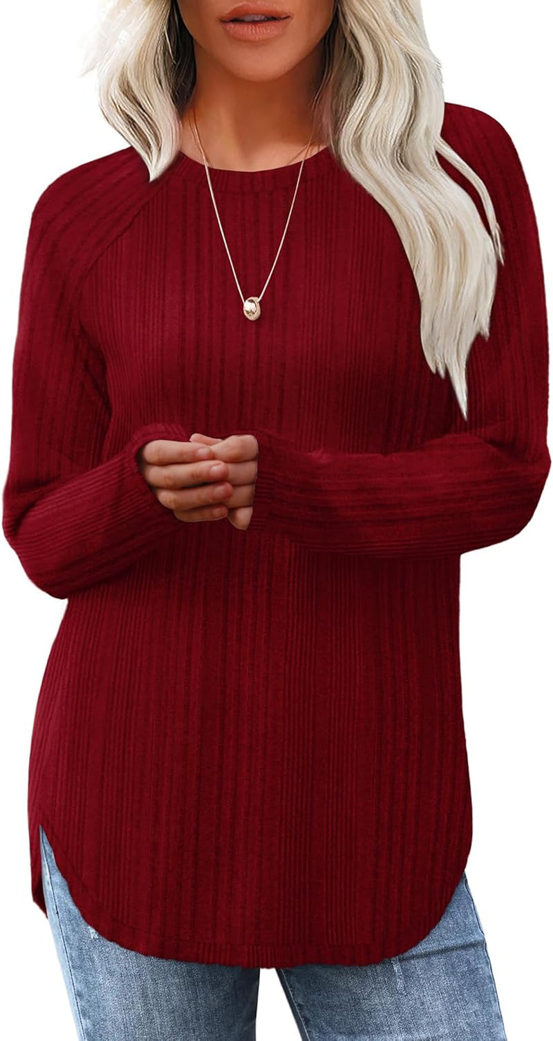 Saloogoe Long Sleeve Shirts for Women Tunic Tops for Women Loose Fit Dressy Crew Neck Pullover Basic Sweaters for Women 2024