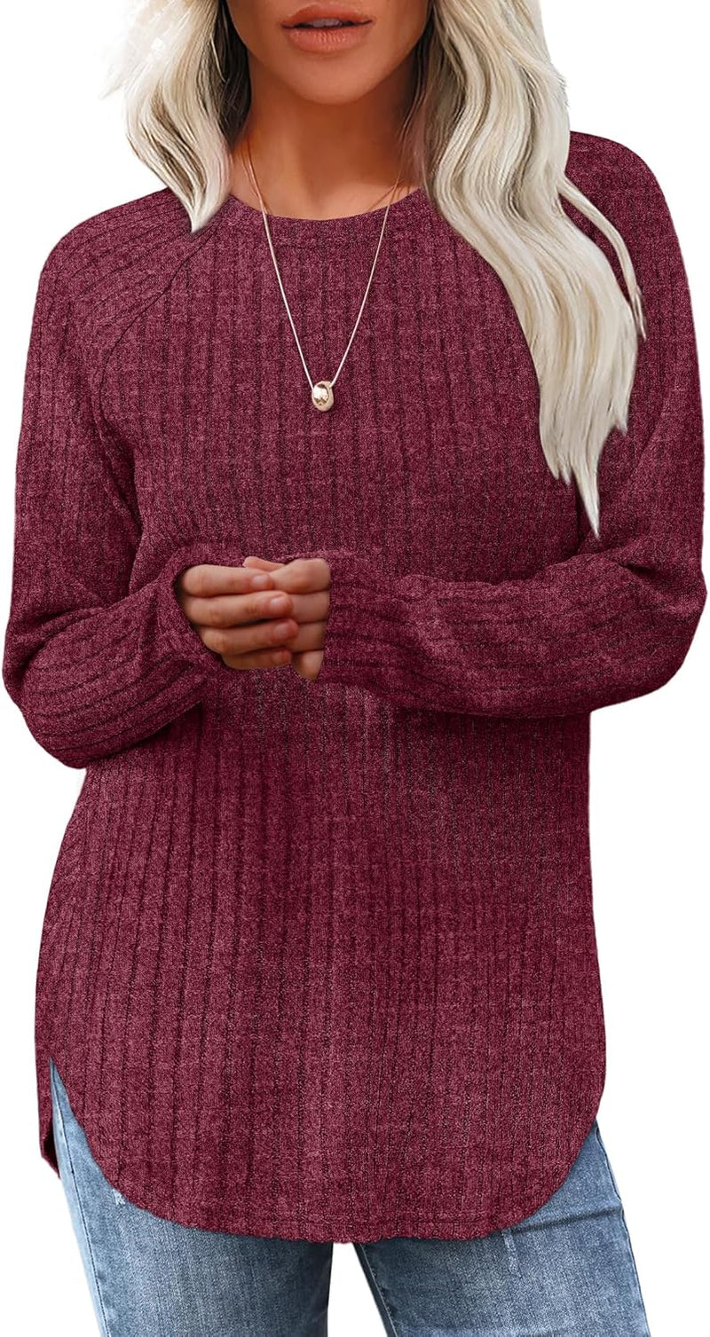 Saloogoe Long Sleeve Shirts for Women Tunic Tops for Women Loose Fit Dressy Crew Neck Pullover Basic Sweaters for Women 2024