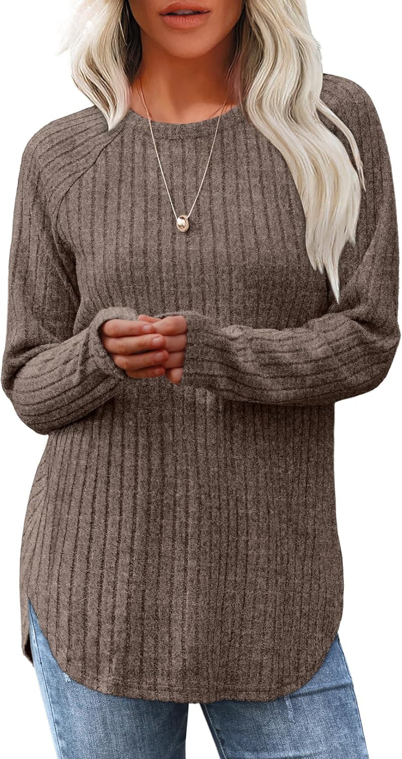 Saloogoe Long Sleeve Shirts for Women Tunic Tops for Women Loose Fit Dressy Crew Neck Pullover Basic Sweaters for Women 2024