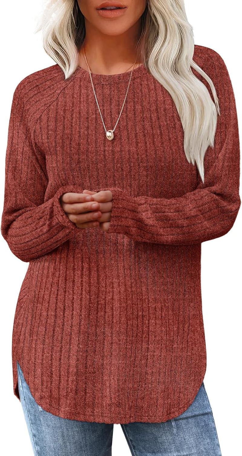 Saloogoe Long Sleeve Shirts for Women Tunic Tops for Women Loose Fit Dressy Crew Neck Pullover Basic Sweaters for Women 2024