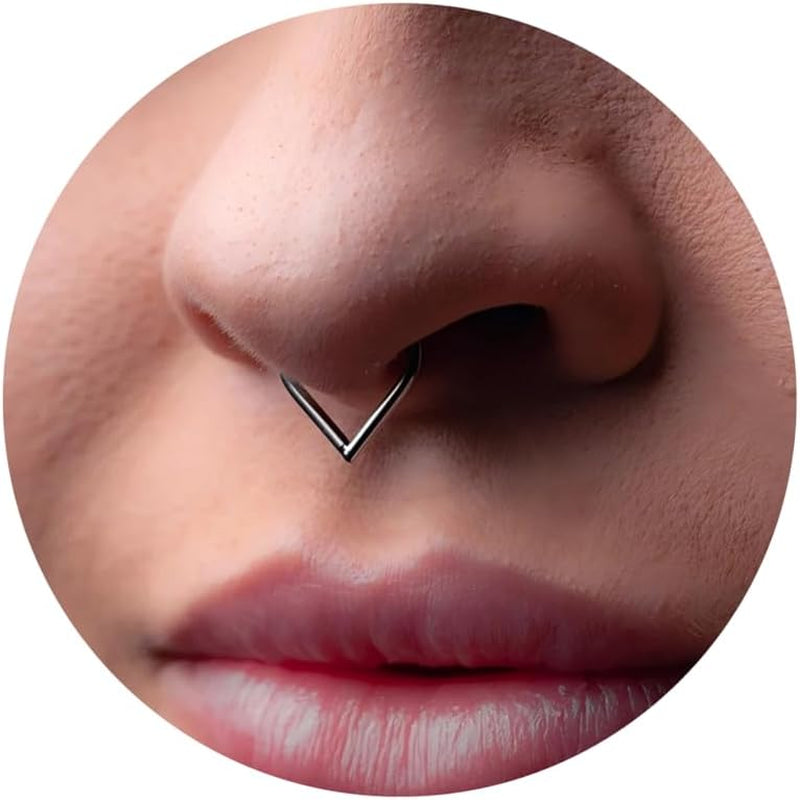 16G Titanium Septum Rings Double Septum Jewelry Daith Piercing Jewelry Silver Gold Hinged Segment Helix Clicker Piercing Jewelry 8 Mm 10 Mm Seamless Ring Hypoallergenic Jewellery for Her