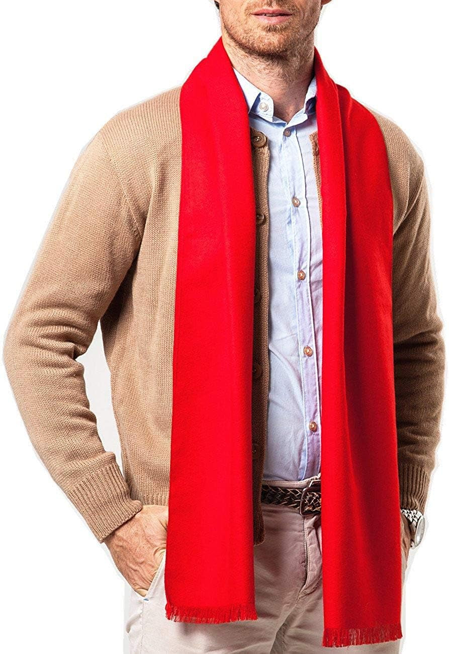 Shubb Men'S Fashion Scarves for Winter Cashmere Feel Scarf for Men 70.8 * 11.8 IN