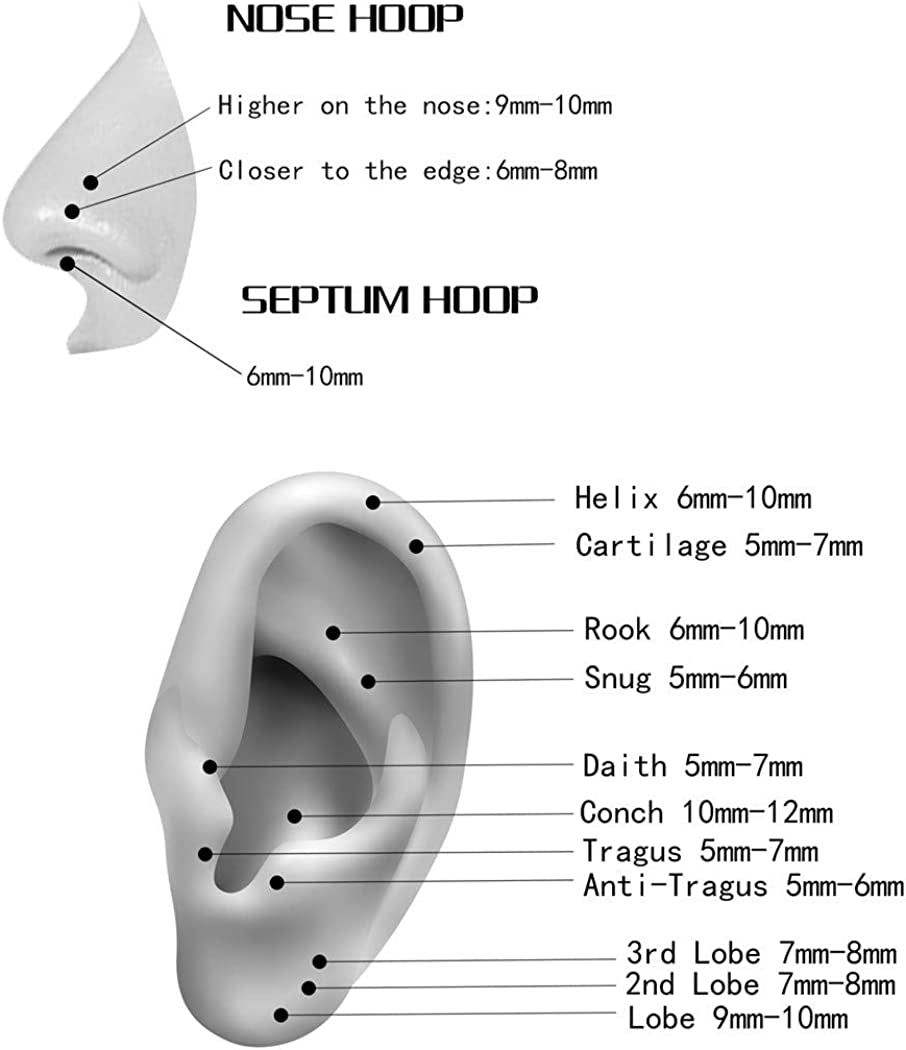 ORANGELOVE Hypoallergenic Nose Rings 20G 18G 16G 14G 12G 10G 8G 316L Surgical Steel Septum Jewelry Hinged Segment Ring Body Piercing Nose Hoop Lip Rings Nose Helix Cartilage Rook Earrings Apparel & Accessories > Jewelry > Rings ORANGELOVE