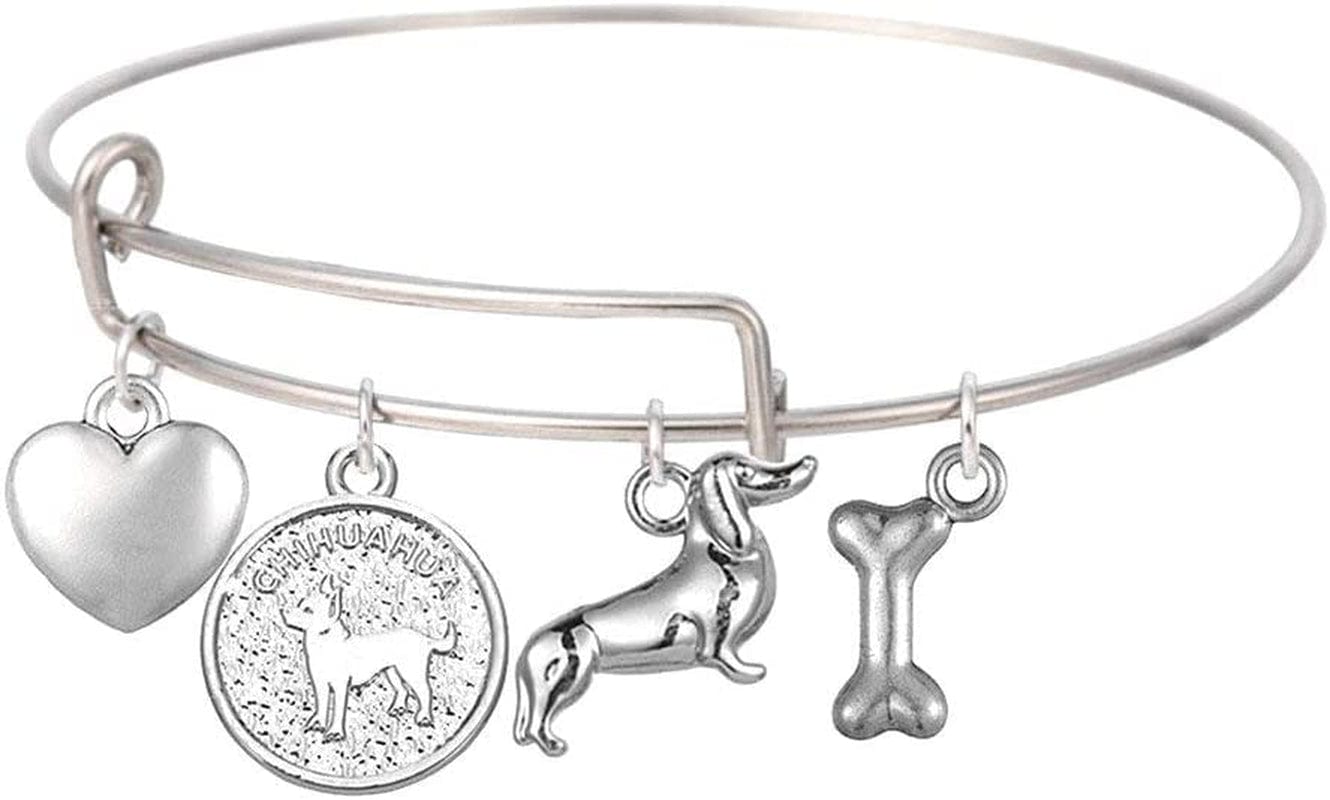 100 Grams Pet Charm,Assorted Dog Bone Paw Print Footprint Charm Pendant for DIY Necklace Bracelet Jewelry Making Findings(Antique Silver Tone)