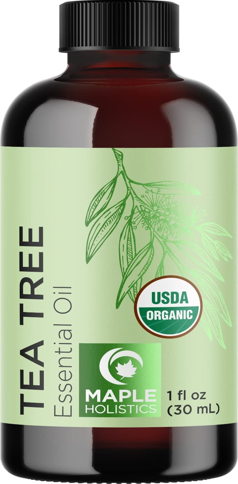 Pure Rosemary Oil for Hair Care - Volumizing Aromatherapy Rosemary Essential Oil for Diffuser plus Hair Skin and Nail Care - Nourishing Rosemary Hair Oil for Enhanced Shine and Dry Scalp Care 2Oz Health & Beauty > Personal Care > Hair Care Maple Holistics Organic Tea Tree 1 Fl Oz (Pack of 1)