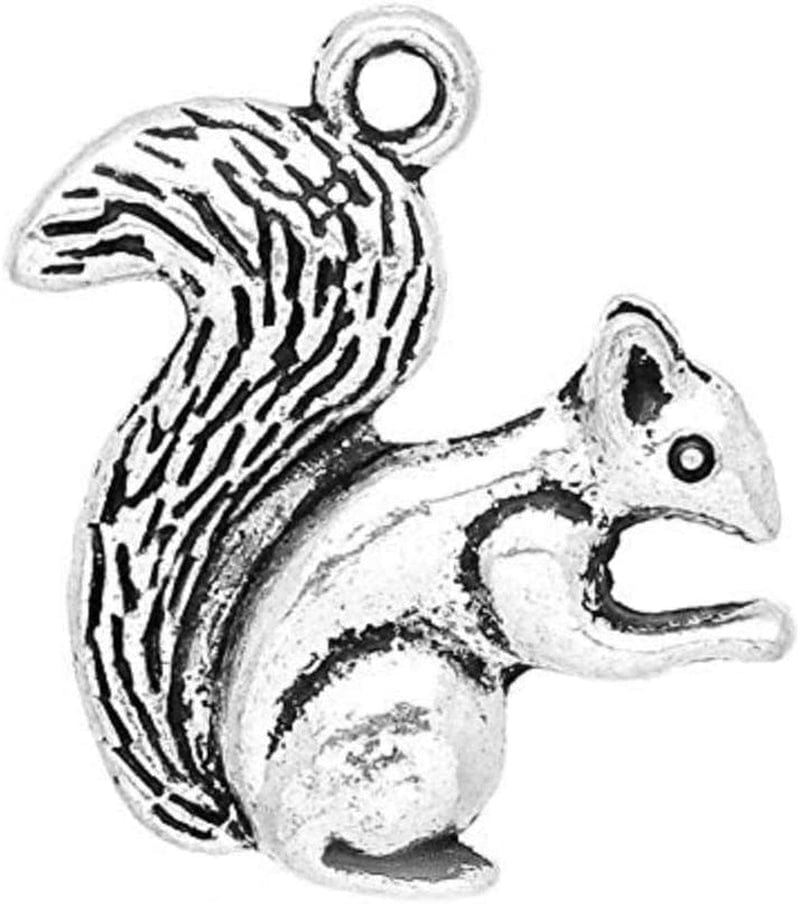 20Pc Antiqued Silver Alloy Blank round Charms Pendants 24Mm (1") Dia 40#. Squirrel
