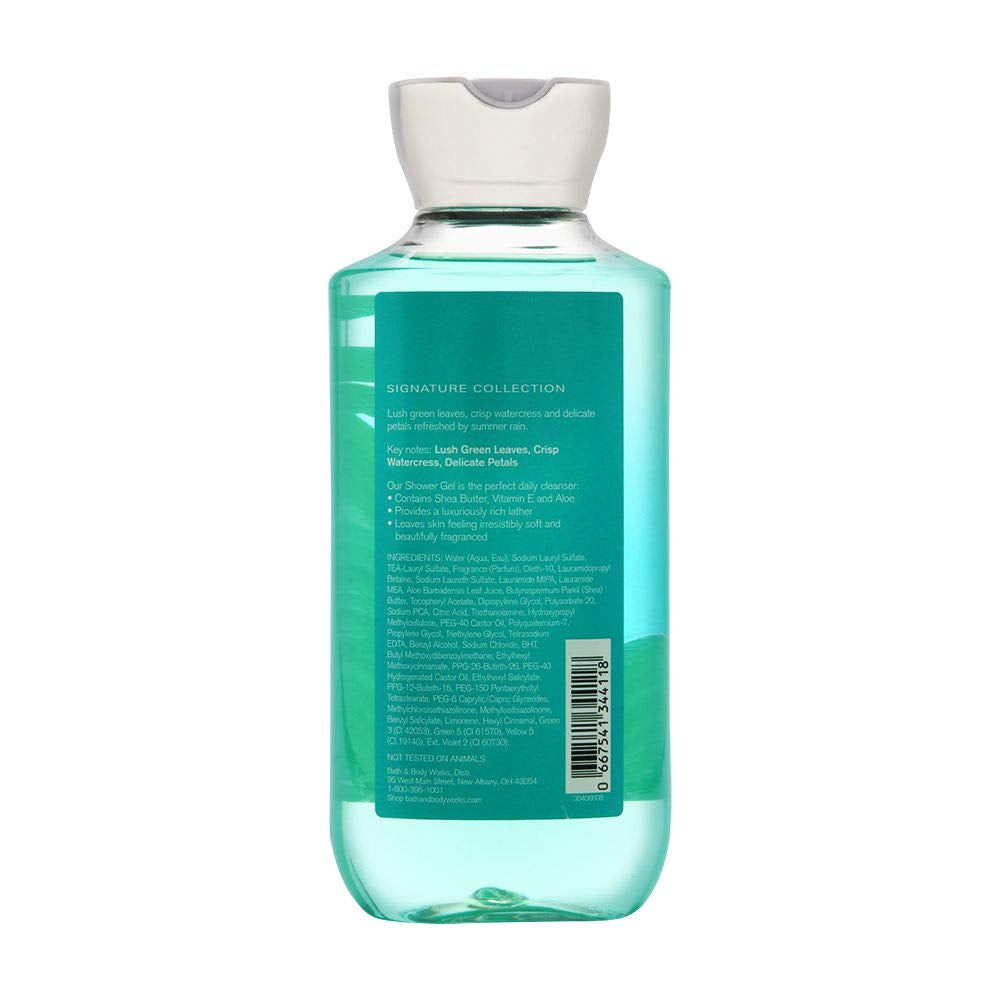 Bath & Body Works Rainkissed Leaves Shower Gel, 10 Ounce Health & Beauty > Personal Care > Cosmetics > Bath & Body Bath & Body Works