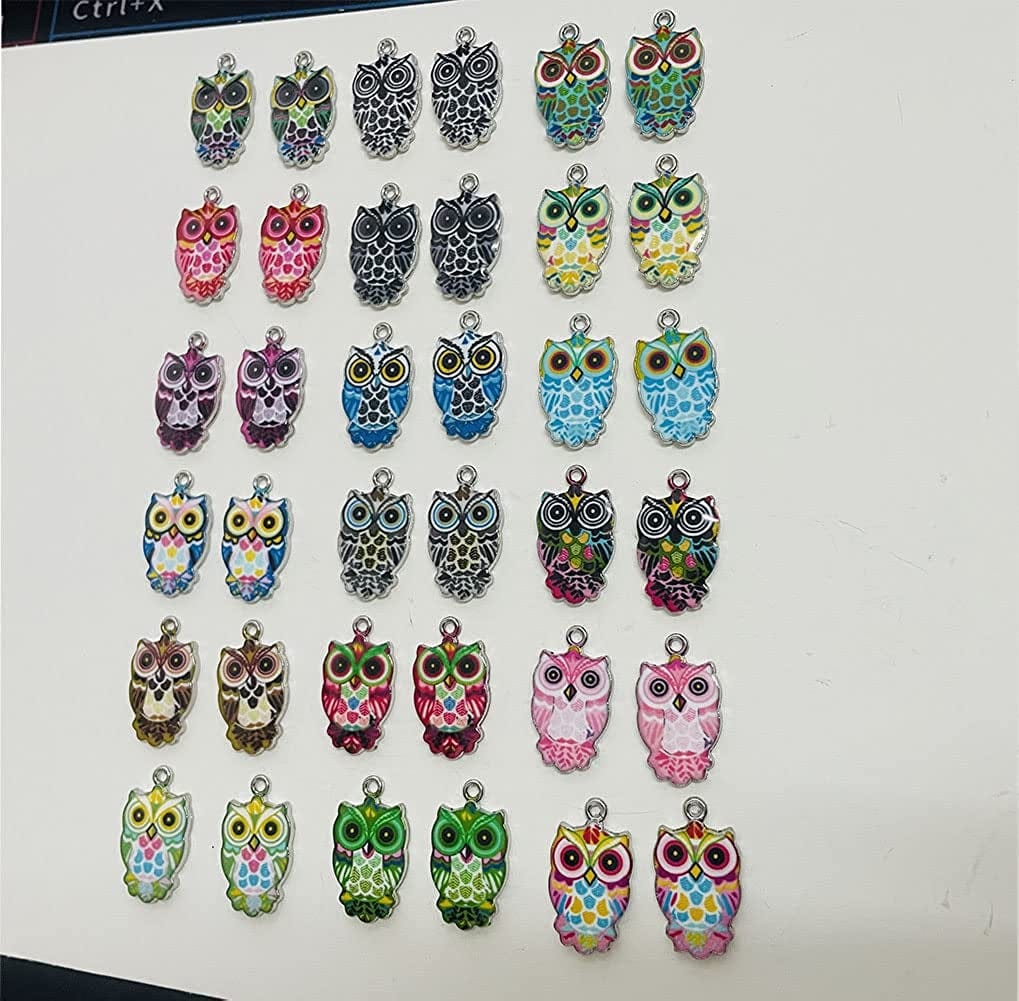 36 Pieces Owl Enamel Charms Halloween Charms Halloween Owl Enamel Charms for Jewelry Making Colorful Owl Charms Pendants for Earrings Necklaces Bracelets Owl Charms DIY Craft Findings