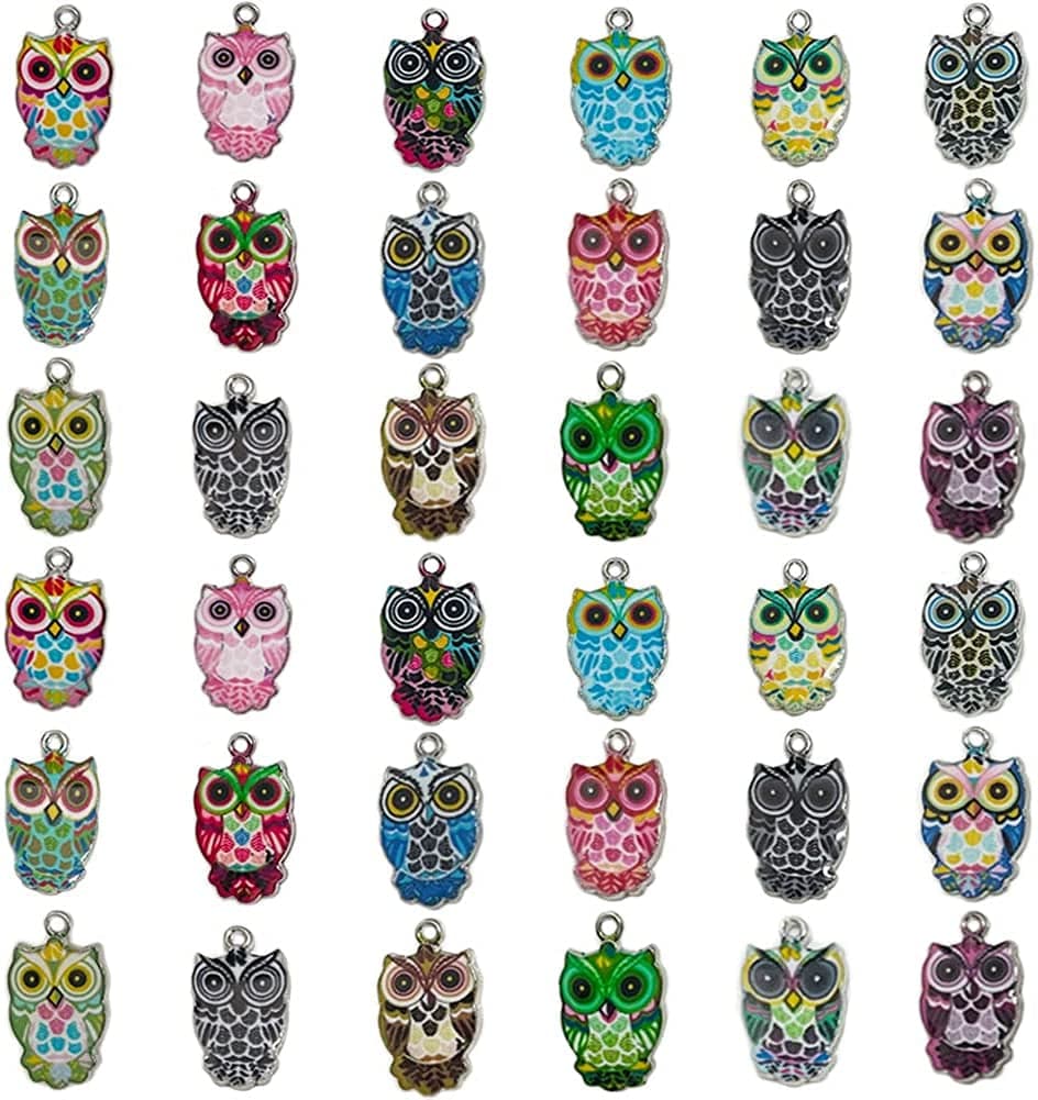 36 Pieces Owl Enamel Charms Halloween Charms Halloween Owl Enamel Charms for Jewelry Making Colorful Owl Charms Pendants for Earrings Necklaces Bracelets Owl Charms DIY Craft Findings