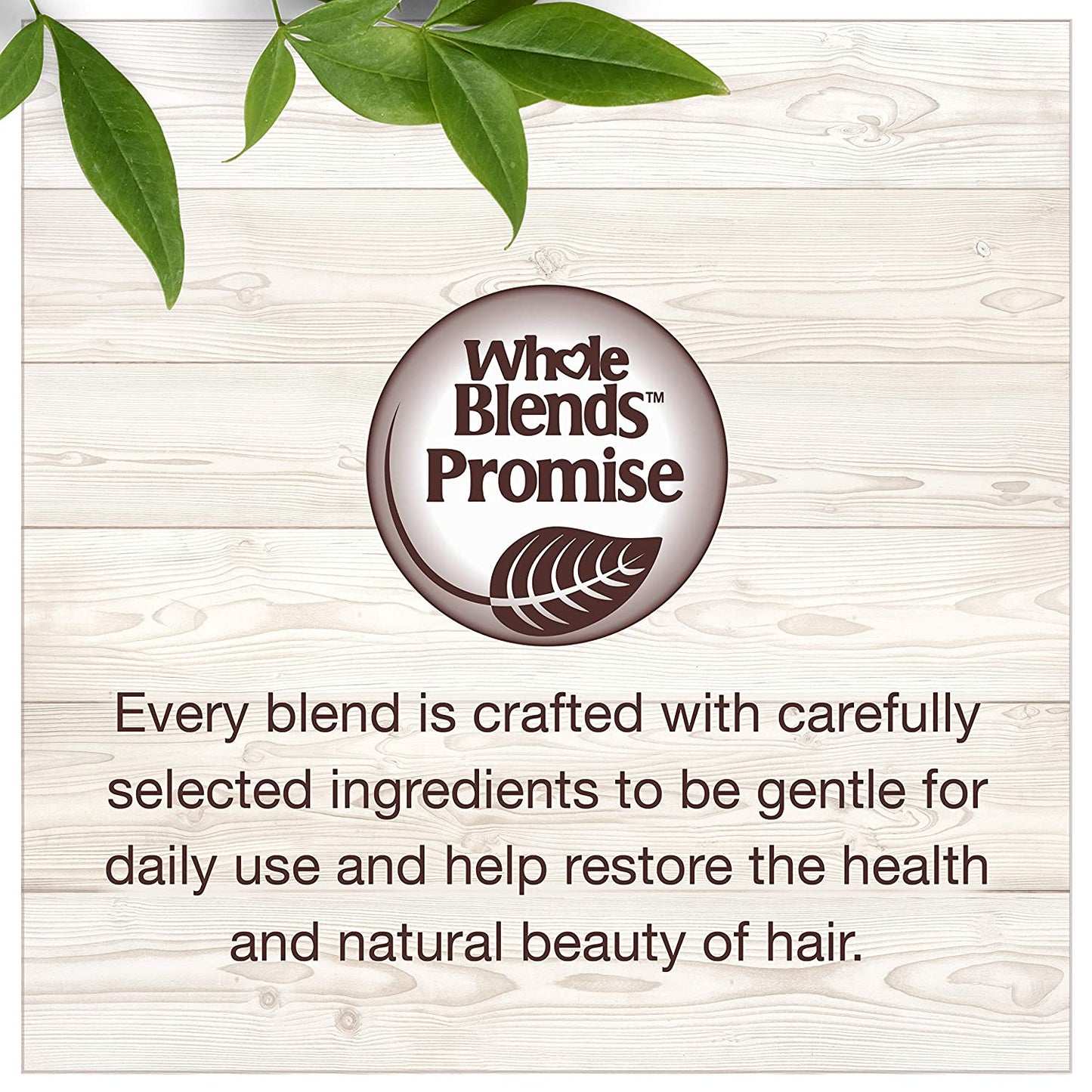 Garnier Hair Care Whole Blends Oat Delicacy, Moisturizing Shampoo, Conditioner, and Detangler with Oat Milk and Rice Cream Extracts, for Fine Hair and Sensitive Scalps, Paraben Free, 1 Kit Health & Beauty > Personal Care > Hair Care Garnier