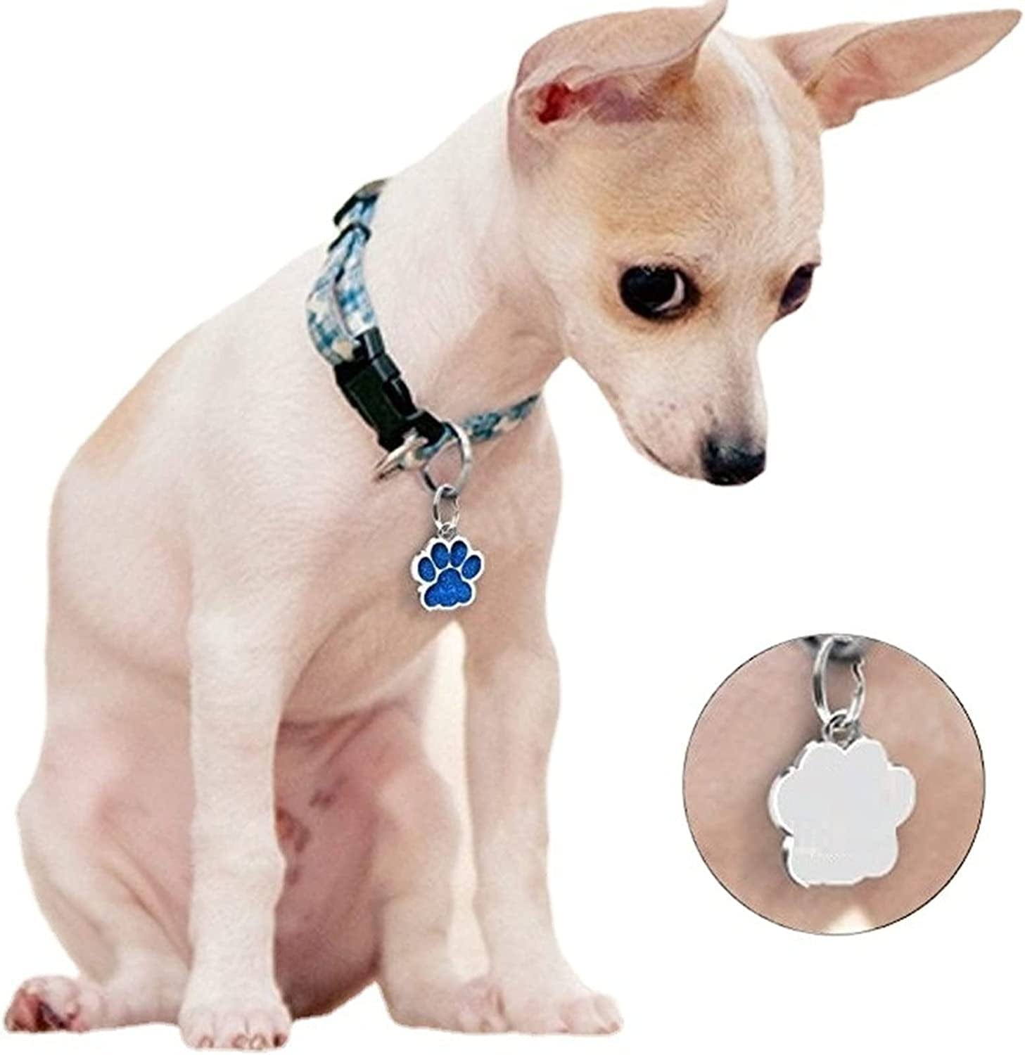 40 Pcs Animal Cat Dog Paw Chunk Charms Pendants Crystal Beads Jewelry Findings for DIY Jewelry Making Necklace Bracelet (Multicolor)