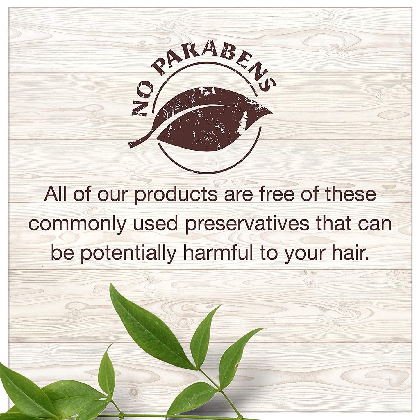 Garnier Hair Care Whole Blends Oat Delicacy, Moisturizing Shampoo, Conditioner, and Detangler with Oat Milk and Rice Cream Extracts, for Fine Hair and Sensitive Scalps, Paraben Free, 1 Kit Health & Beauty > Personal Care > Hair Care Garnier