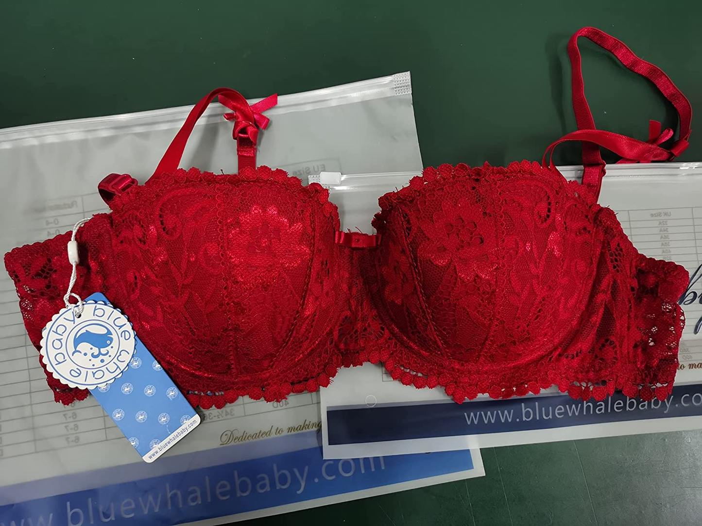 Women Push up Embroidery Bras Set Lace Lingerie Bra and Panty & Garter Belt Suspender & Thigh High Stocking Socks 4 Piece/Set Apparel & Accessories > Clothing > Underwear & Socks > Lingerie Bluewhalebaby