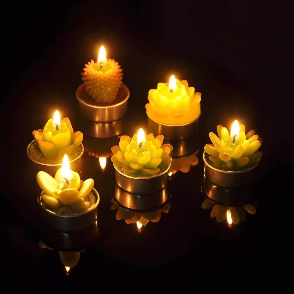 SanSeng Cactus Tealight Candles, Handmade Delicate Succulent Cactus Candles( Perfect for Birthday Party ,Wedding, Spa, Home Decor( 6 Pcs in Pack) Arts & Entertainment > Party & Celebration > Gift Giving SanSeng