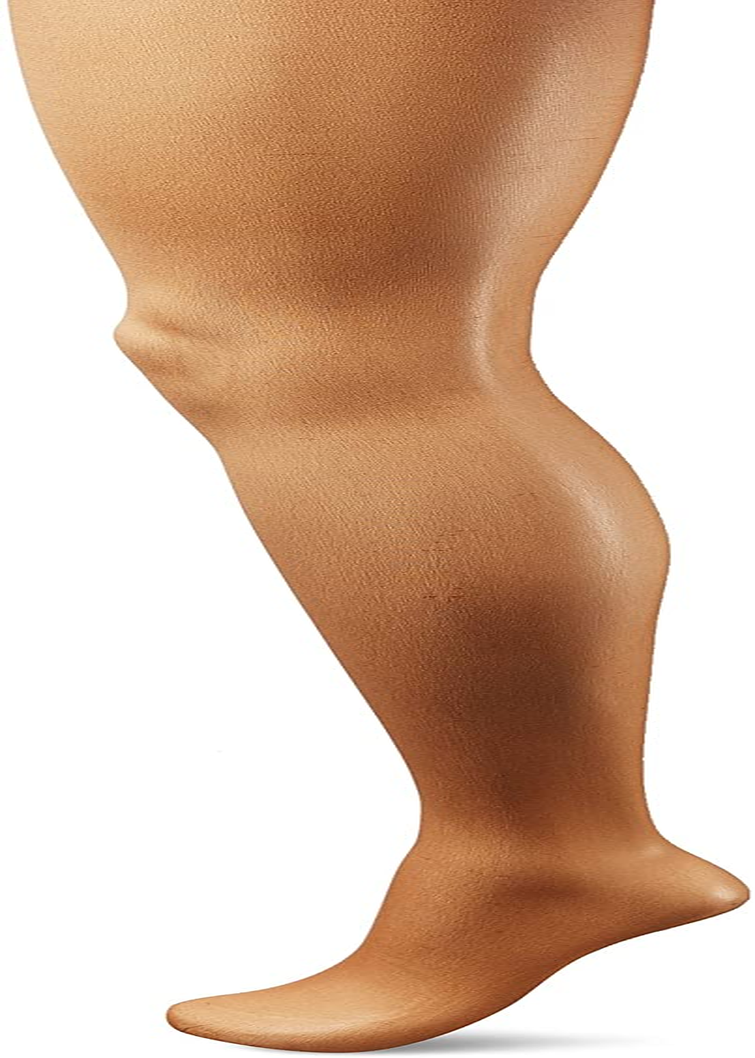 L'Eggs Womens L'Eggs Everyday Women'S Nylon Pantyhose Control Top Panty - Multiple Packs Available Apparel & Accessories > Clothing > Underwear & Socks > Shapewear L'eggs Suntan 3-pack 3 Queen