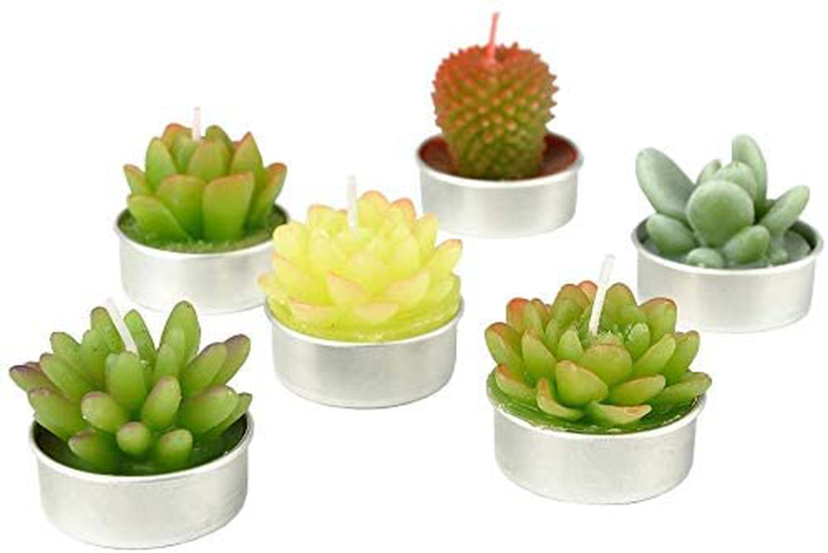 SanSeng Cactus Tealight Candles, Handmade Delicate Succulent Cactus Candles( Perfect for Birthday Party ,Wedding, Spa, Home Decor( 6 Pcs in Pack) Arts & Entertainment > Party & Celebration > Gift Giving SanSeng