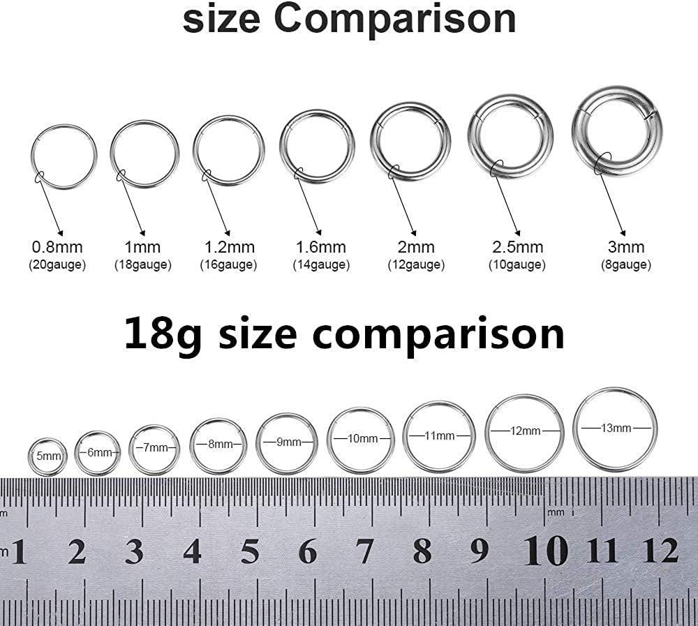 ORANGELOVE Hypoallergenic Nose Rings 20G 18G 16G 14G 12G 10G 8G 316L Surgical Steel Septum Jewelry Hinged Segment Ring Body Piercing Nose Hoop Lip Rings Nose Helix Cartilage Rook Earrings Apparel & Accessories > Jewelry > Rings ORANGELOVE