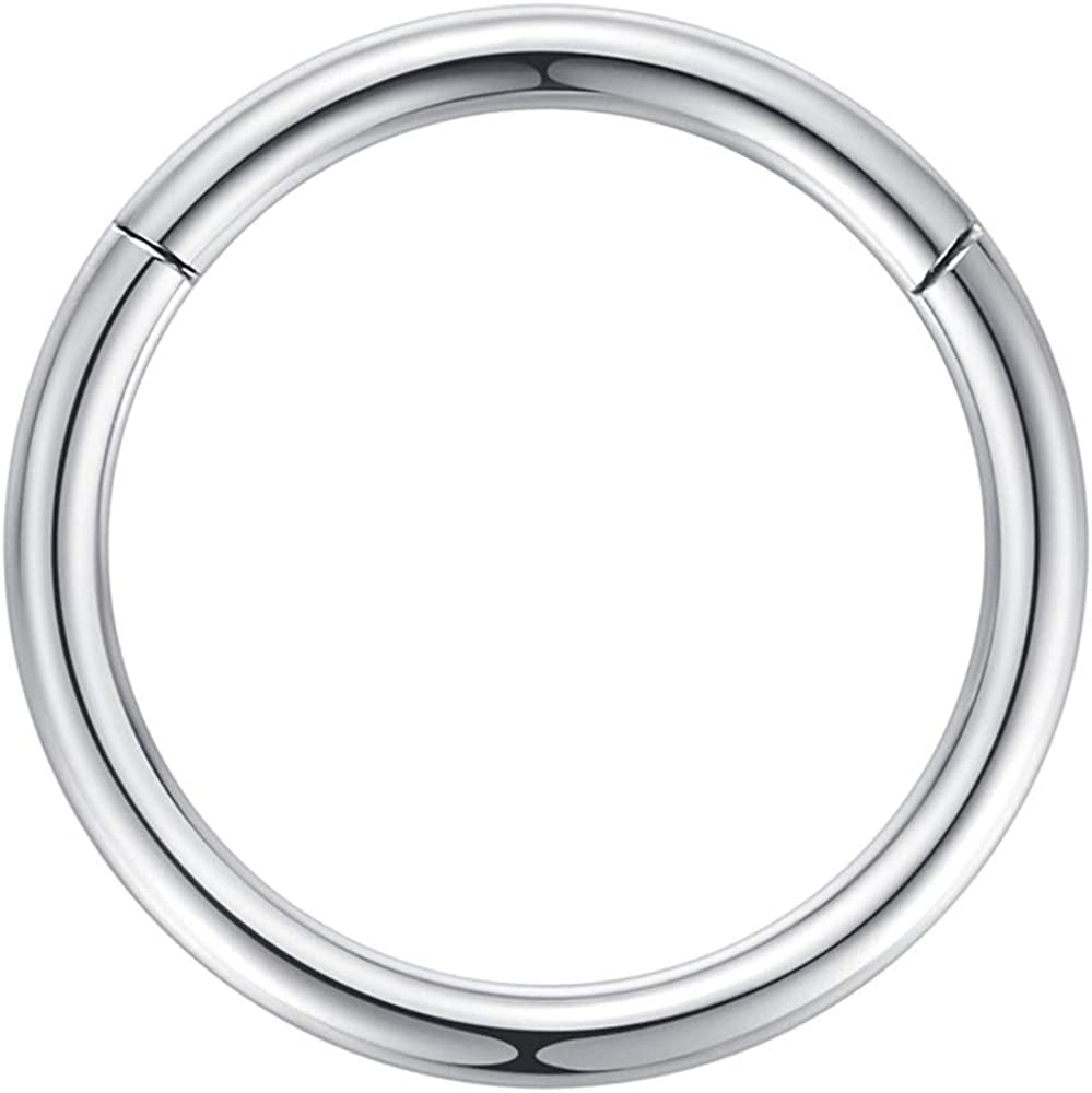ORANGELOVE Hypoallergenic Nose Rings 20G 18G 16G 14G 12G 10G 8G 316L Surgical Steel Septum Jewelry Hinged Segment Ring Body Piercing Nose Hoop Lip Rings Nose Helix Cartilage Rook Earrings Apparel & Accessories > Jewelry > Rings ORANGELOVE 1pc 8g 16mm Silver