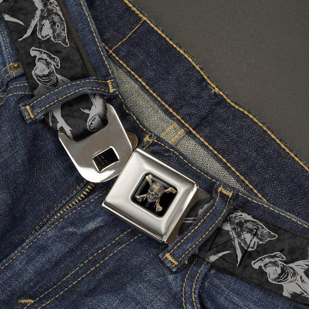 Buckle-Down Disney Belt, Seatbelt Buckle Belt, Pirates Ghost Sharks Black Grays, Mens Womens Kids Adjustable Apparel & Accessories > Clothing Accessories > Belts Buckle-Down