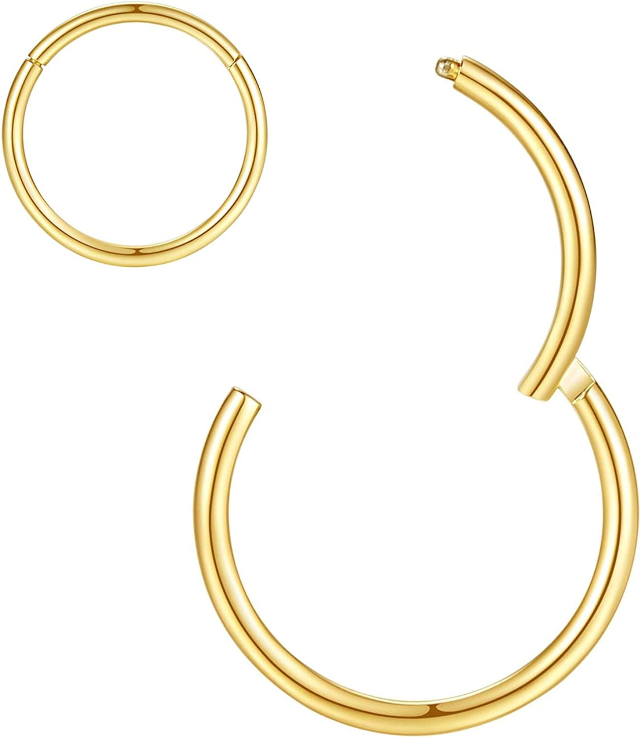 ORANGELOVE Hypoallergenic Nose Rings 20G 18G 16G 14G 12G 10G 8G 316L Surgical Steel Septum Jewelry Hinged Segment Ring Body Piercing Nose Hoop Lip Rings Nose Helix Cartilage Rook Earrings Apparel & Accessories > Jewelry > Rings ORANGELOVE 2pcs 20g 10mm Gold