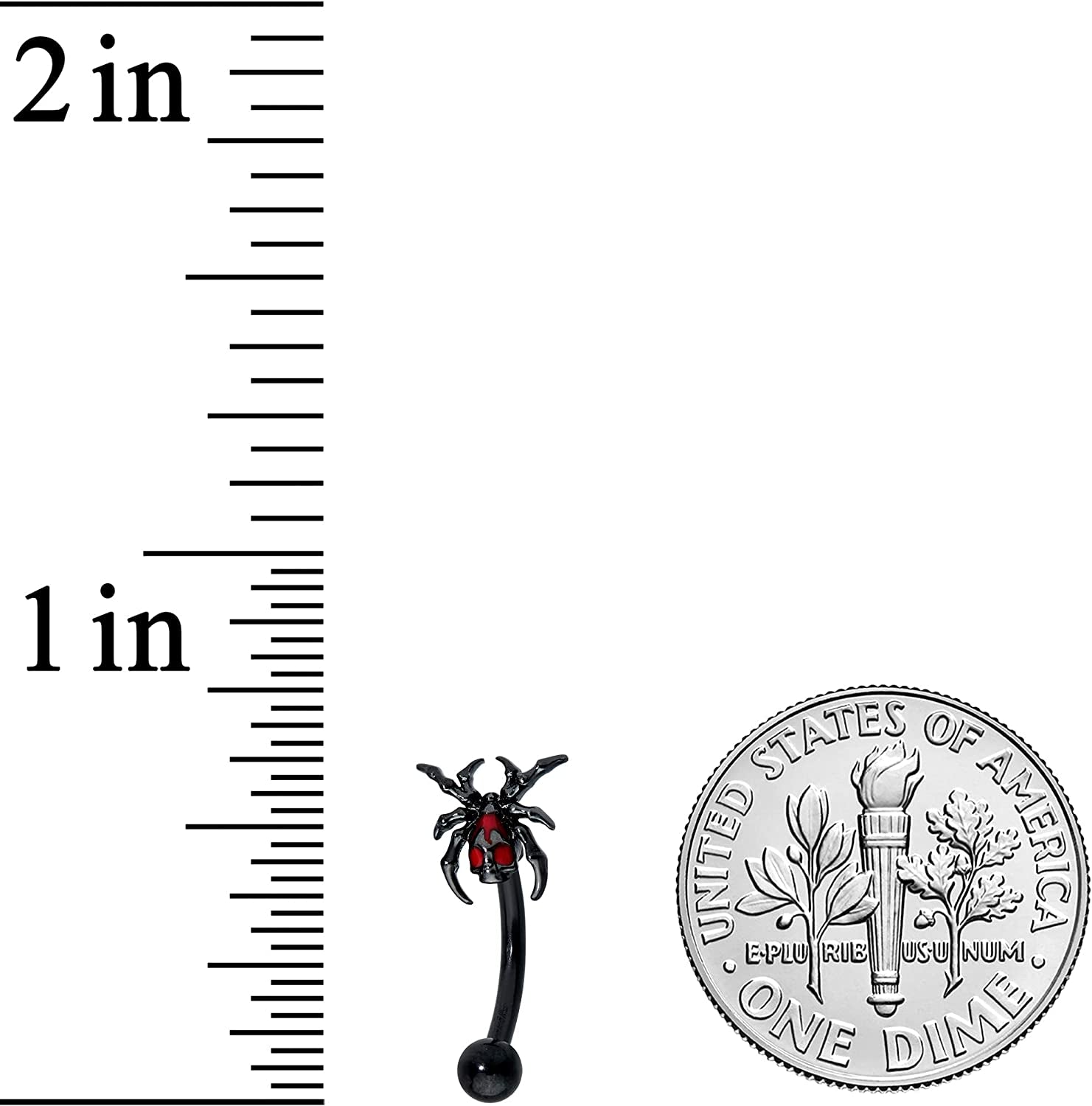 Body Candy 16G Black PVD Steel Eyebrow Jewelry Cartilage Tragus Daith Skeleton Spider Eyebrow Ring 5/16” Apparel & Accessories > Jewelry > Rings Body Candy