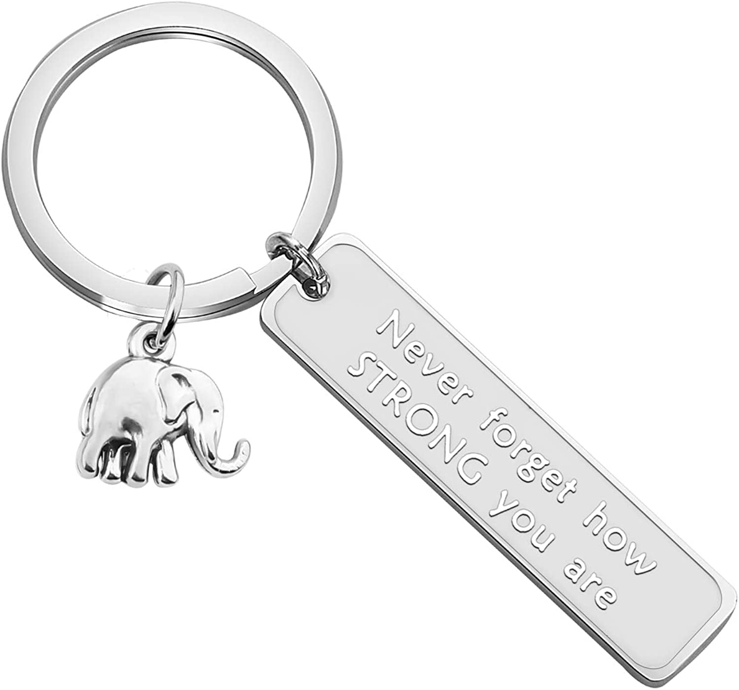 MYOSPARK Elephant Keychain Don'T Forget How Strong You Are Inspirational Gift for Graduate Elephant Lovers Apparel & Accessories > Jewelry > Necklaces MYOSPARK Elephant Keychain 6