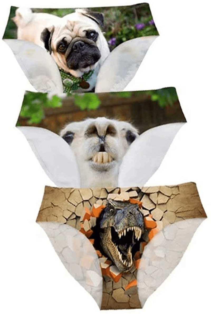 AFPANQZ Womens Underwear Mid Waist Brief Ladies Panties Seamless Breathable Lingerie 3 Pack plus Size Apparel & Accessories > Clothing > Underwear & Socks > Underwear AFPANQZ Pug Alpaca T-rex Large