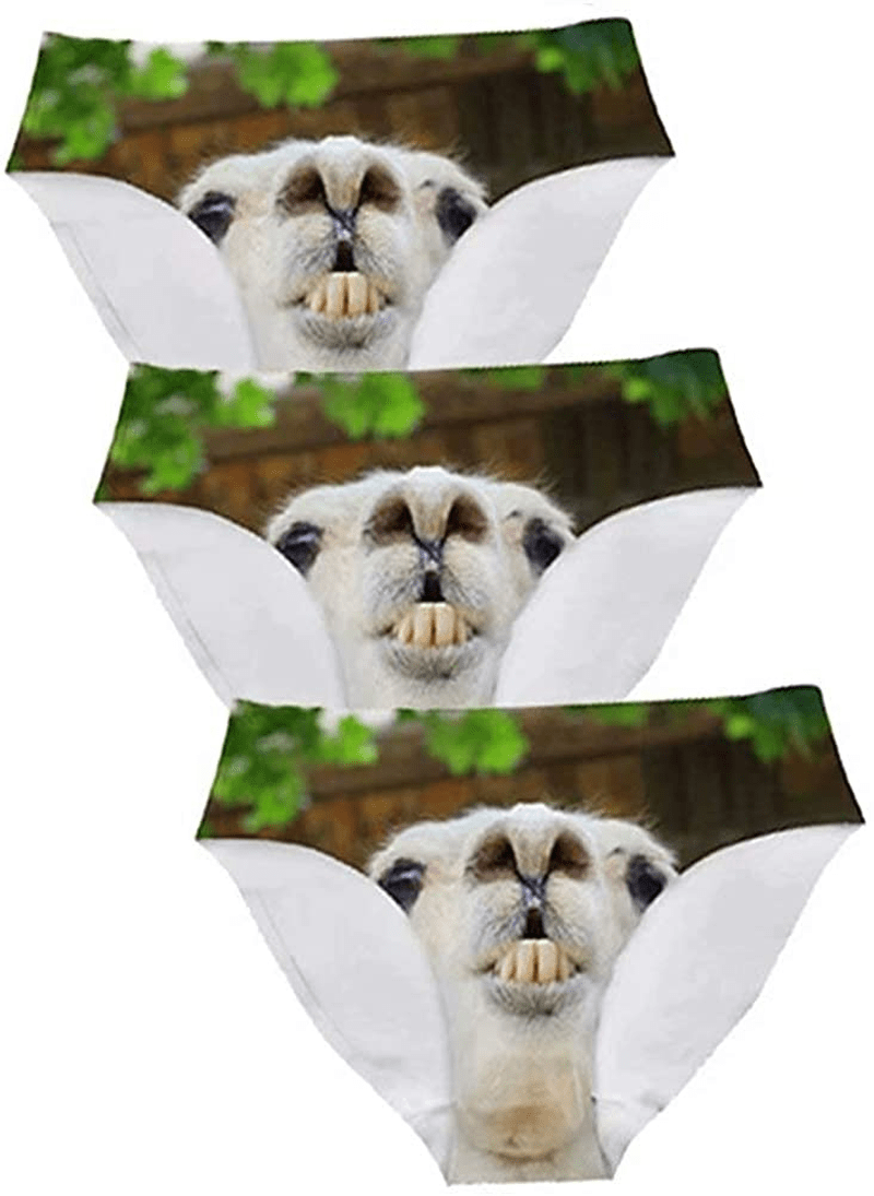 AFPANQZ Womens Underwear Mid Waist Brief Ladies Panties Seamless Breathable Lingerie 3 Pack plus Size Apparel & Accessories > Clothing > Underwear & Socks > Underwear AFPANQZ Alpacas Large