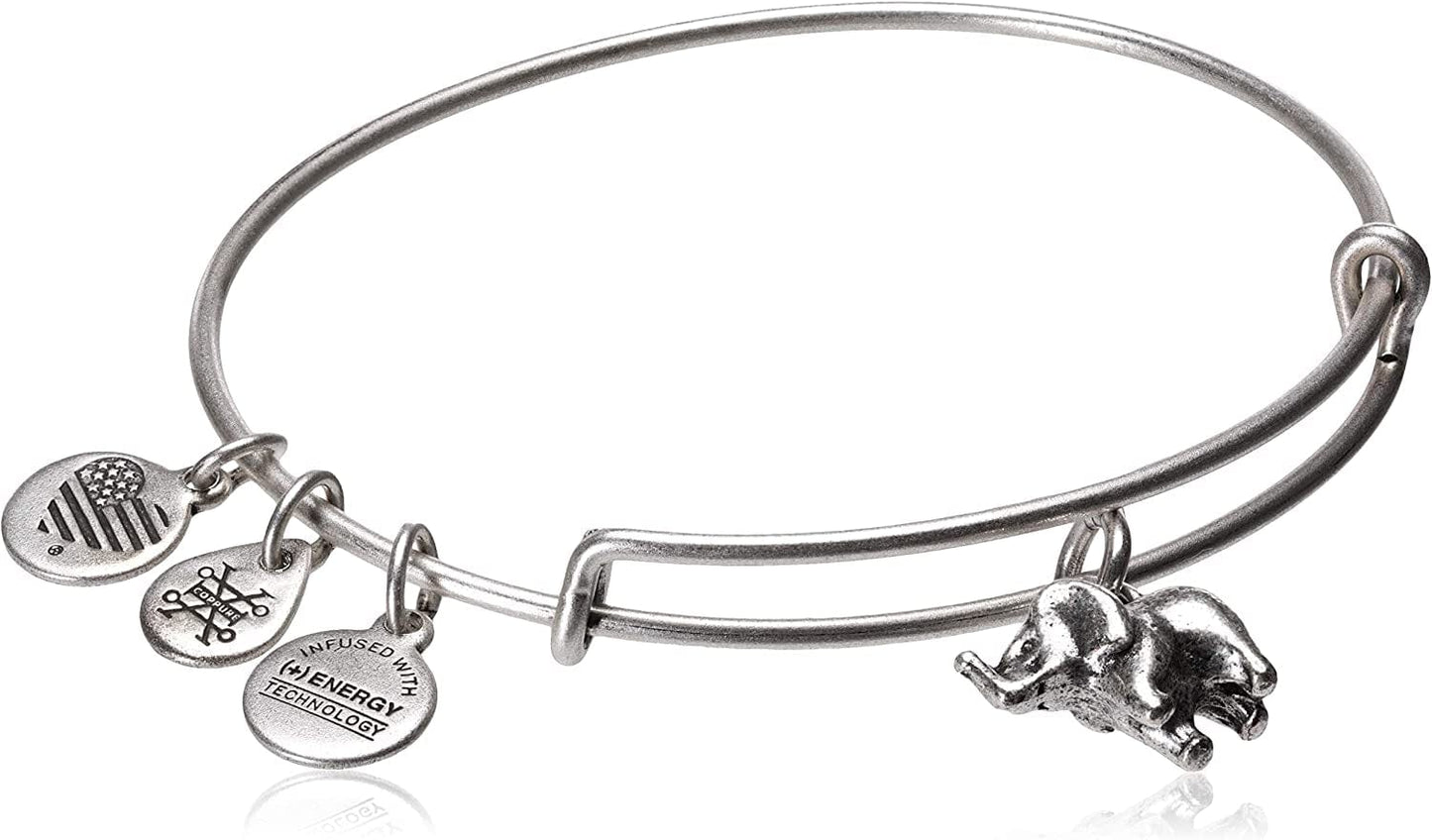 Alex and Ani CBD17EFRS Charity by Design, Elephant II Rafaelian Silver Bangle Bracelet Apparel & Accessories > Jewelry > Bracelets Alex and Ani