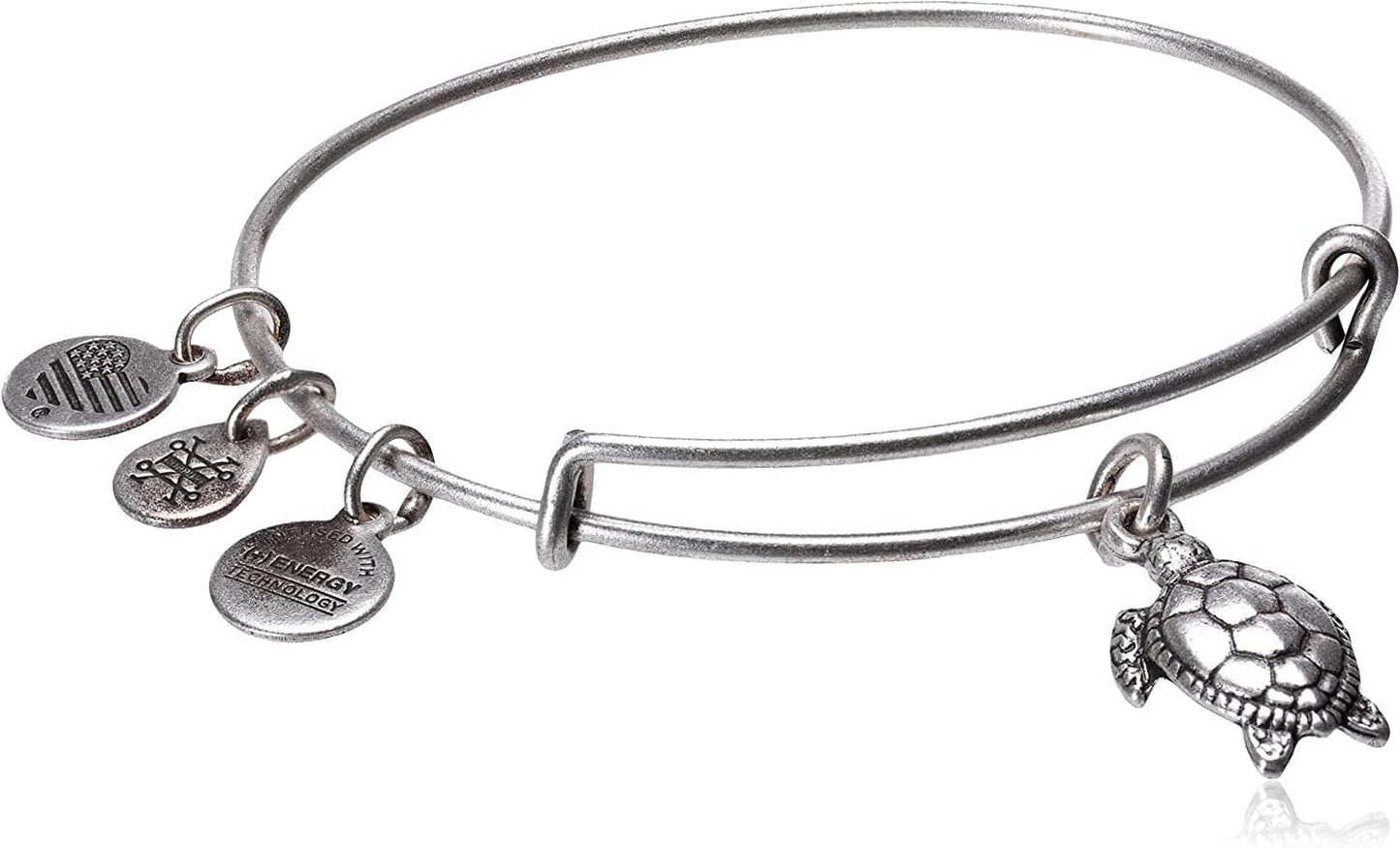 Alex and Ani Charity by Design Turtle Rafaelian Bangle Bracelet Apparel & Accessories > Jewelry > Bracelets Alex and Ani Rafaelian Silver