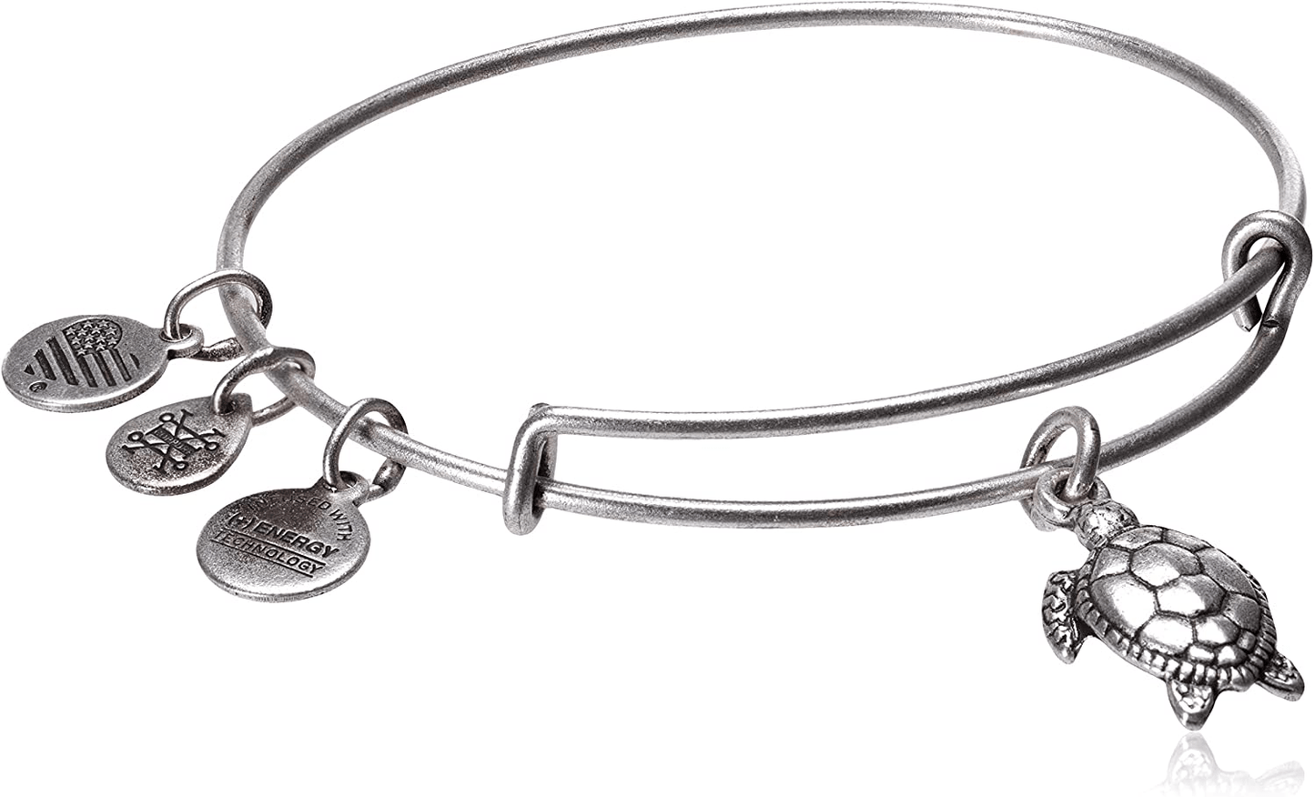 Alex and Ani Charity By Design Turtle Rafaelian Bangle Bracelet Arts & Entertainment > Party & Celebration > Gift Giving Alex and Ani Rafaelian Silver