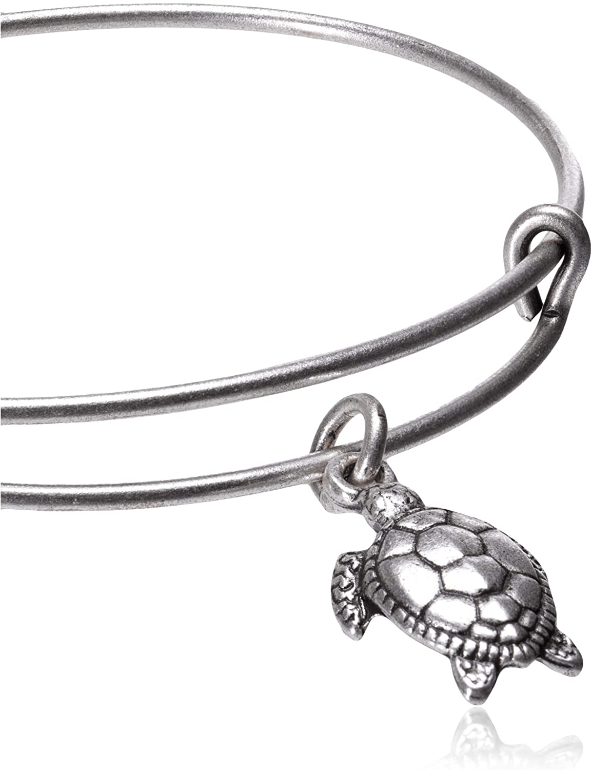 Alex and Ani Charity By Design Turtle Rafaelian Bangle Bracelet Arts & Entertainment > Party & Celebration > Gift Giving Alex and Ani