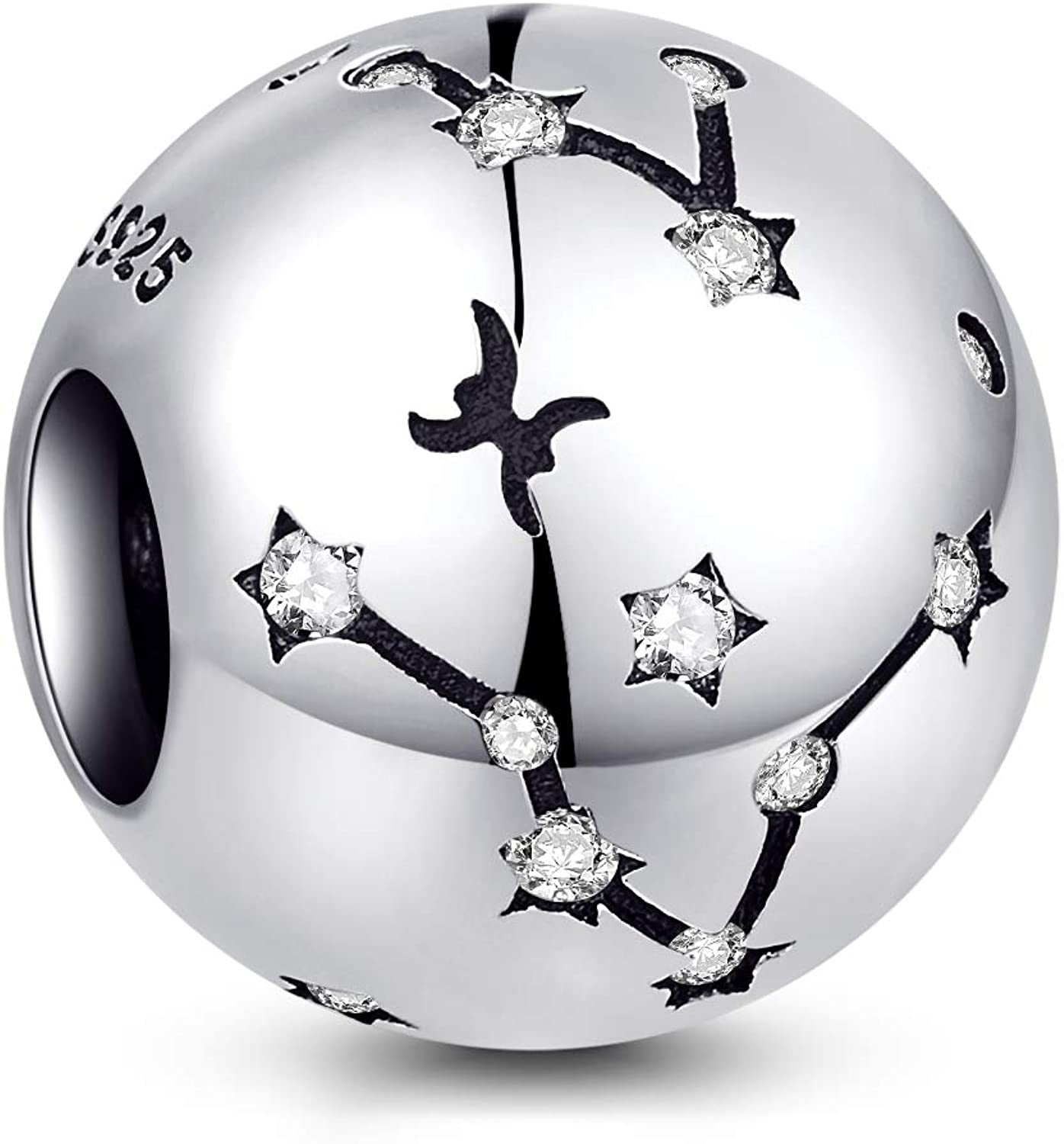 NINGAN 12 Zodiac Sign Birthday Charms - 925 Sterling Silver Charms Fits Women'S Charm Bracelet & Necklace - Birthday Gifts for Girls & Friends Apparel & Accessories > Jewelry > Bracelets NINGAN Pisces (02/19- 03/20)