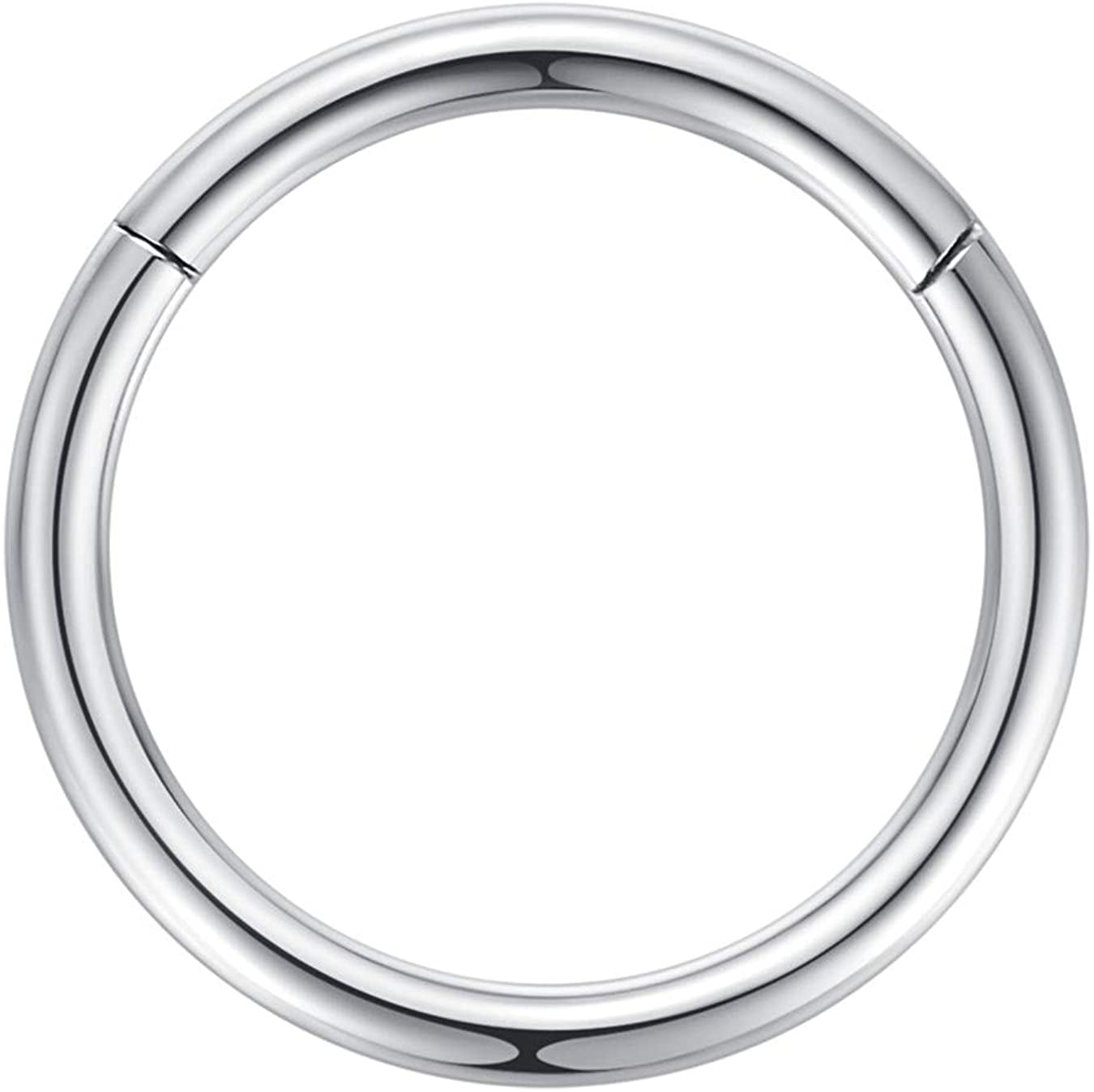 ORANGELOVE Hypoallergenic Nose Rings 20G 18G 16G 14G 12G 10G 8G 316L Surgical Steel Septum Jewelry Hinged Segment Ring Body Piercing Nose Hoop Lip Rings Nose Helix Cartilage Rook Earrings Apparel & Accessories > Jewelry > Rings ORANGELOVE 1pc 12g 10mm Silver