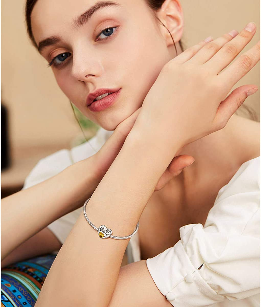 FOREVER QUEEN Birthstone Charms for Charms Bracelet- 925 Sterling Silver Love Heart Beads Infinite Love Charms, Happy Birthday Charms for Bracelet and Necklace Apparel & Accessories > Jewelry > Bracelets FOREVER QUEEN pandora charms