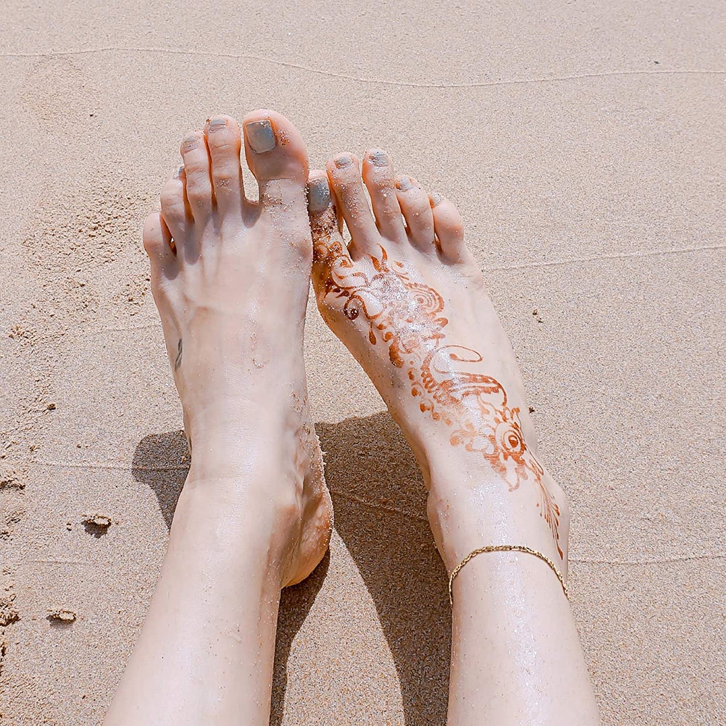 Gold Dainty Anklet,14K Gold Plated Boho CZ Star Beach Cute Pig Nose Tassel Disc Foot Chain Ankle Bracelet Lace Chain Anklet for Women… Apparel & Accessories > Jewelry > Anklets Mevecco