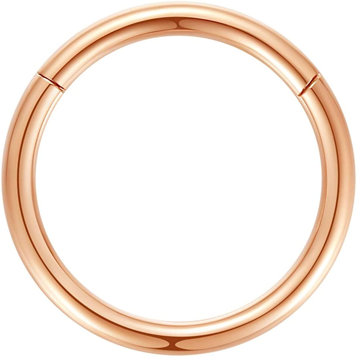 ORANGELOVE Hypoallergenic Nose Rings 20G 18G 16G 14G 12G 10G 8G 316L Surgical Steel Septum Jewelry Hinged Segment Ring Body Piercing Nose Hoop Lip Rings Nose Helix Cartilage Rook Earrings Apparel & Accessories > Jewelry > Rings ORANGELOVE 1pc 10g 16mm Rose Gold