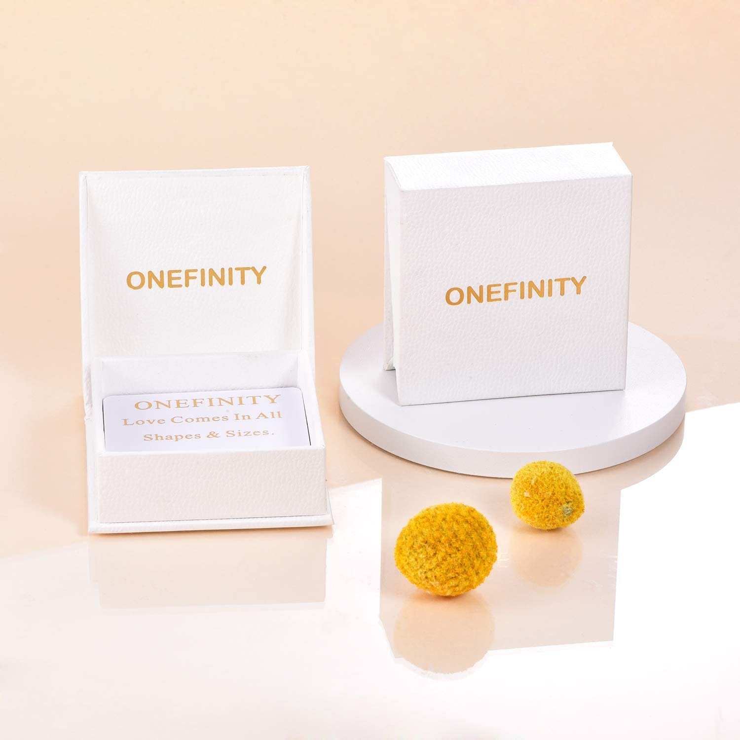 Dragonfly Earrings Sterling Silver Leverback Dragonfly Dangle Drop Earrings Dragonfly Jewelry for Women Girls