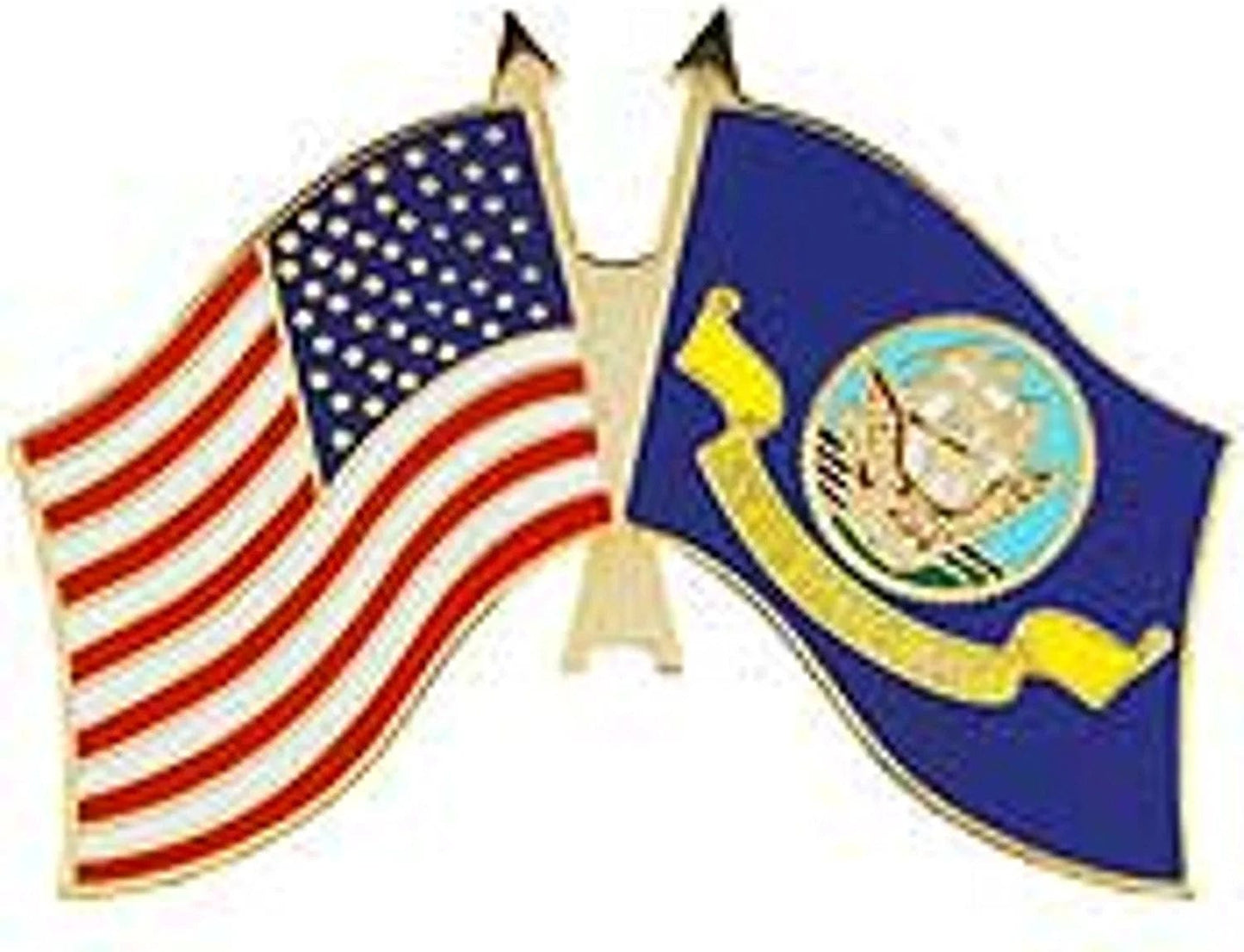 EE, Inc. US Navy and USA Flag Military Lapel Pin 1-1/4 Inches, Multi-Coloured, Small