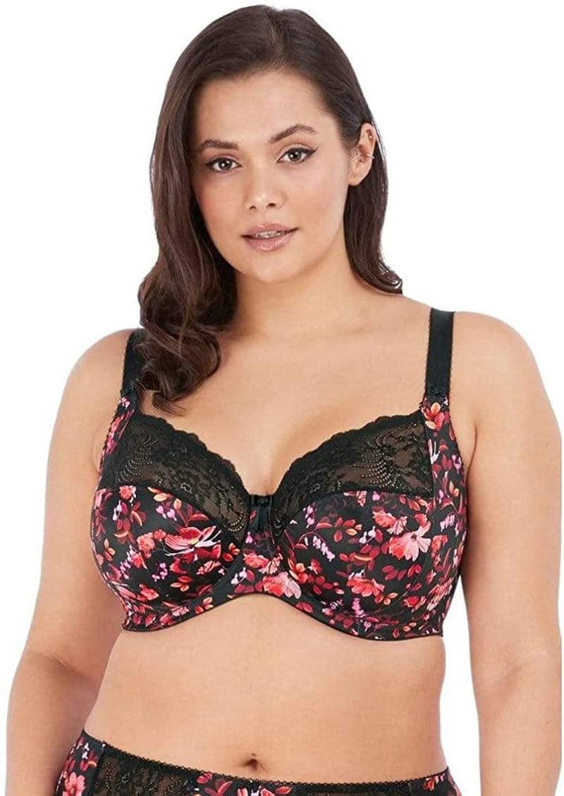 Elomi Women'S plus Size Morgan Banded Underwire Stretch Lace Bra Autumn Breeze / 40F