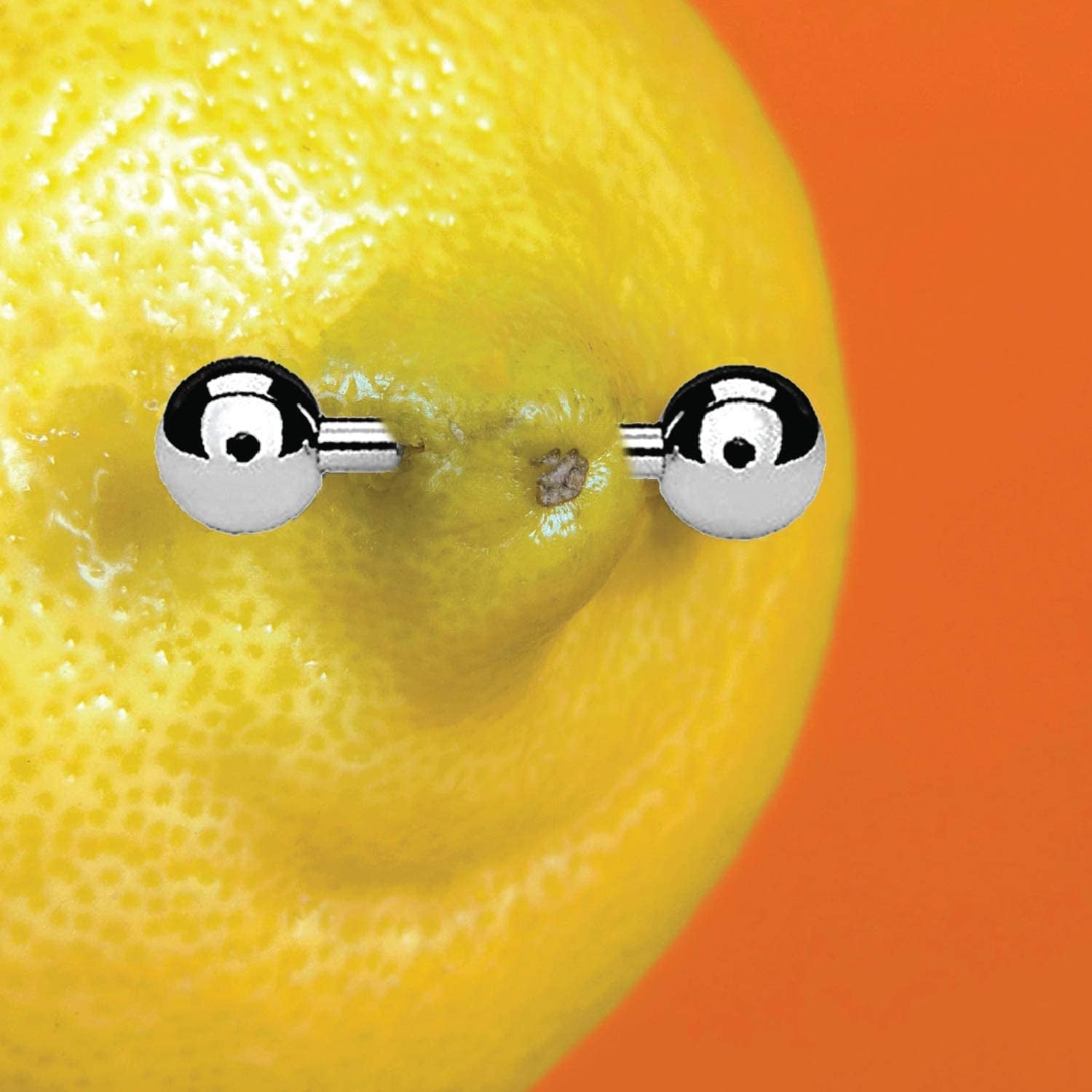 Bodyj4You 20PC Pro Piercing Kit BCR CBR Belly Labret Tragus Nipple Nose Lip 14G Steel Jewelry Apparel & Accessories > Jewelry > Body Jewelry BodyJ4You