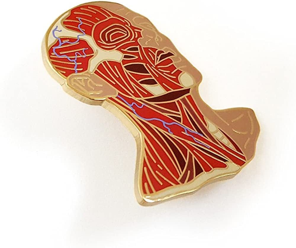 Head Anatomy Enamel Lapel Pin