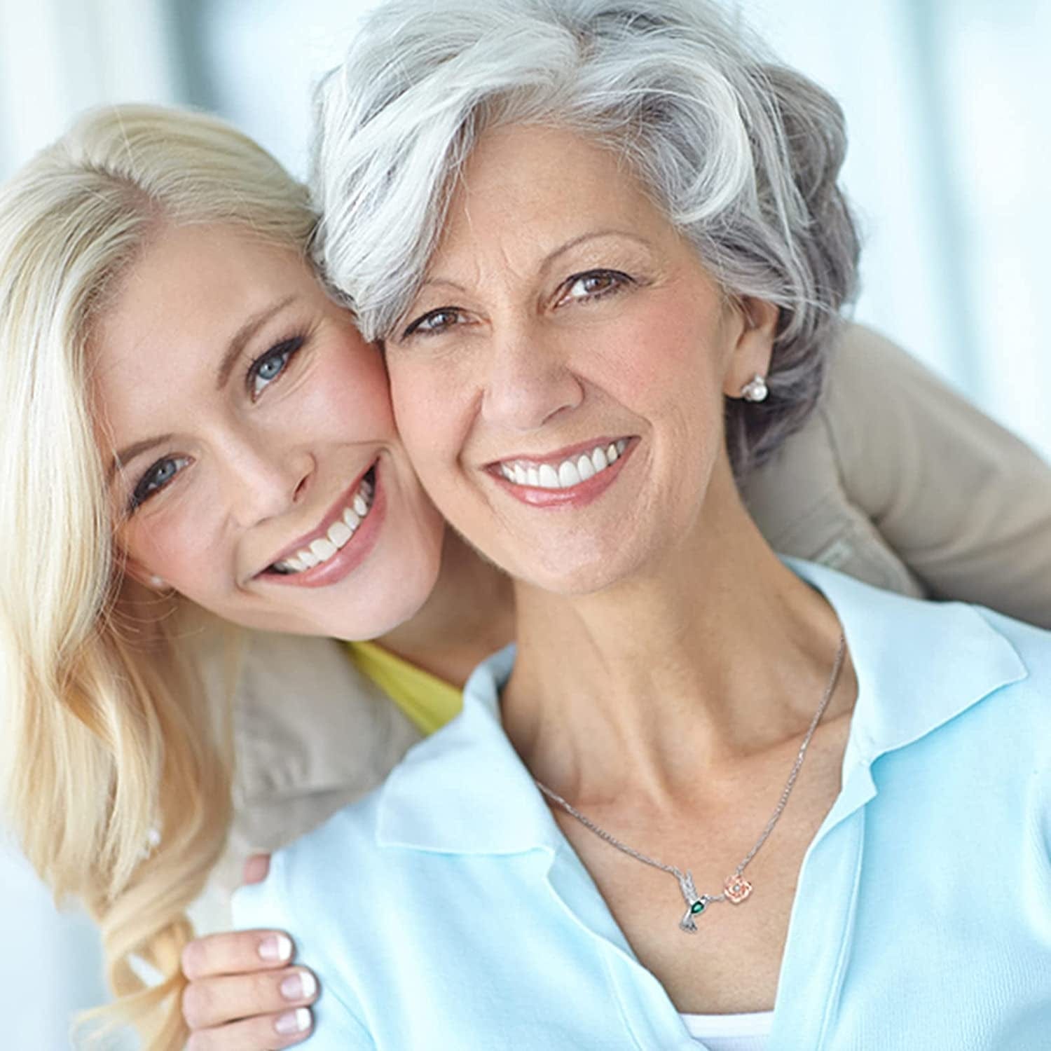 Hummingbird Necklaces Sterling Silver - Hummingbird Roseflower Pendant Embellished with Shining Zirconia Animal Jewelry Christmas Birthdays Gifts for Woman Wife Girlfriend Mom Daughters.