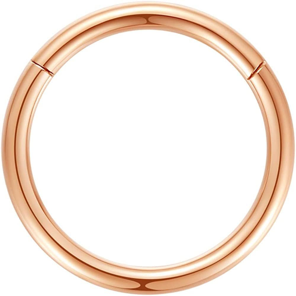 ORANGELOVE Hypoallergenic Nose Rings 20G 18G 16G 14G 12G 10G 8G 316L Surgical Steel Septum Jewelry Hinged Segment Ring Body Piercing Nose Hoop Lip Rings Nose Helix Cartilage Rook Earrings Apparel & Accessories > Jewelry > Rings ORANGELOVE 1pc 8g 10mm Rose Gold