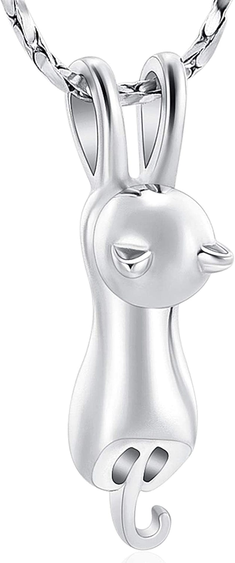 Pet Cremation Jewelry for Ashes Memorial Ash Jewelry Keepsake Cat Urn Pendants for Animal Ashes Necklace Silver