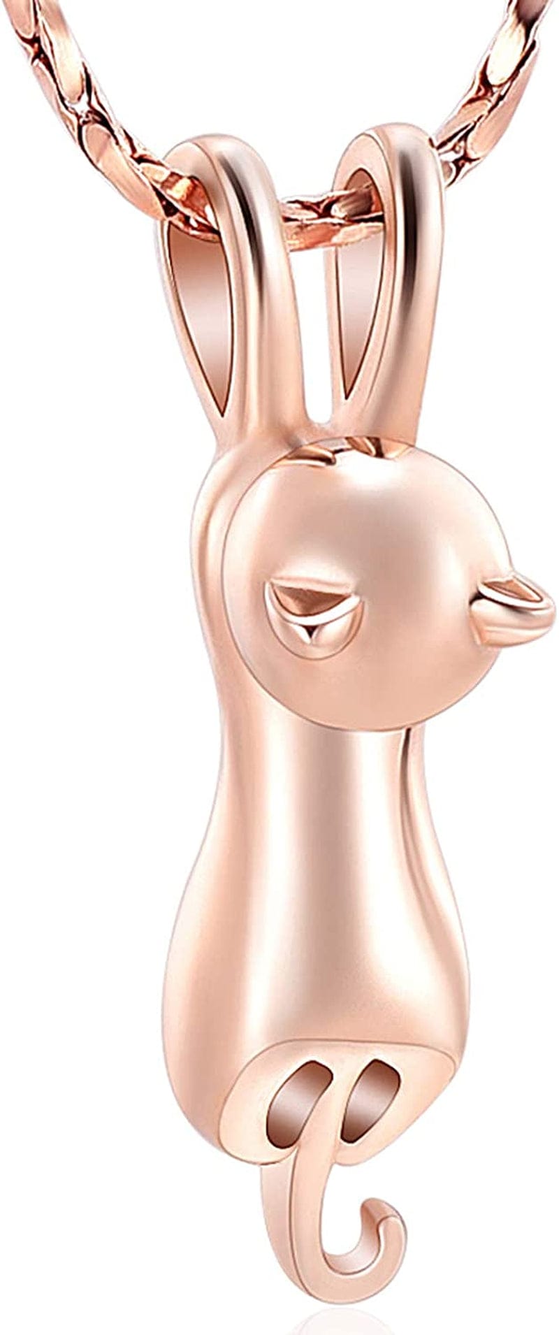 Pet Cremation Jewelry for Ashes Memorial Ash Jewelry Keepsake Cat Urn Pendants for Animal Ashes Necklace Rose Gold