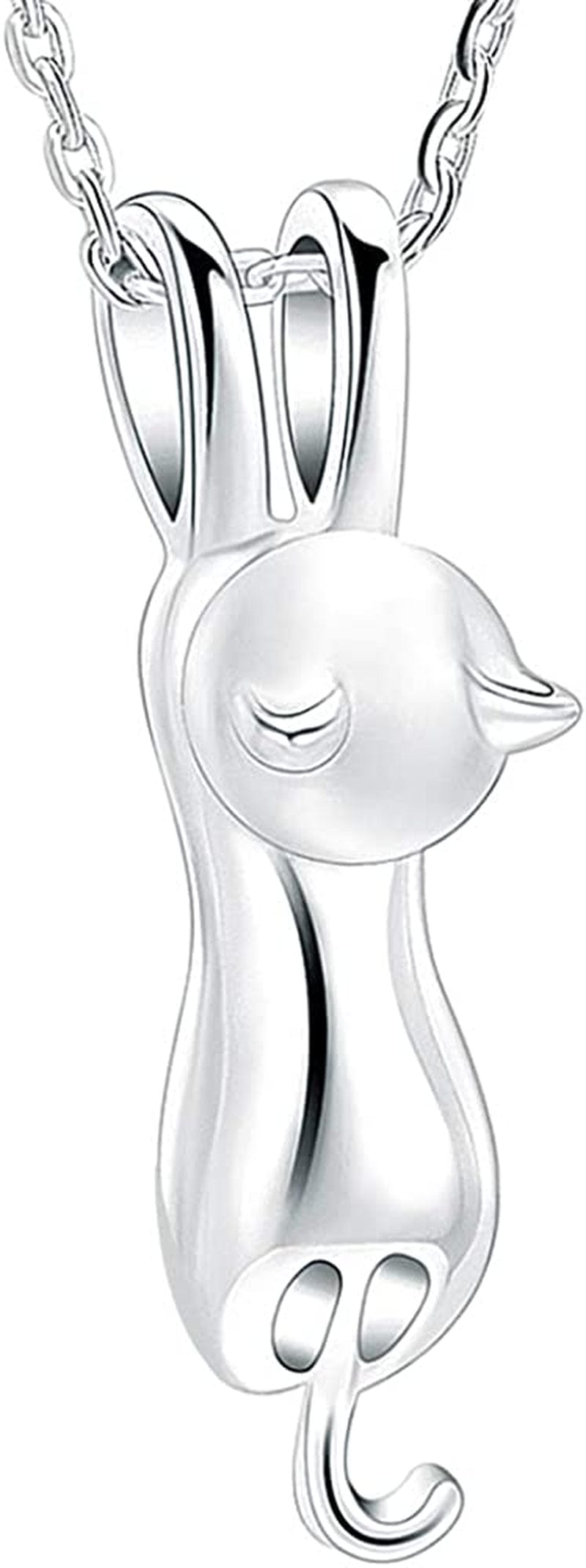 Pet Cremation Jewelry for Ashes Memorial Ash Jewelry Keepsake Cat Urn Pendants for Animal Ashes Necklace Sterling silver