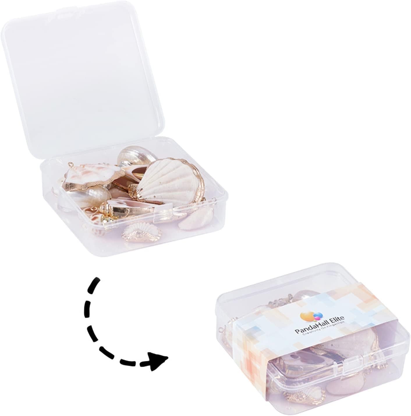 PH Pandahall 10 Style Natural Sea Shell Charms Beads 20Pcs Summer Seashell Pendants Spiral Sea Shells Gold Plated Pendant Ocean Beach Charms for Boho Earring Necklace Bracelet Jewelry Making