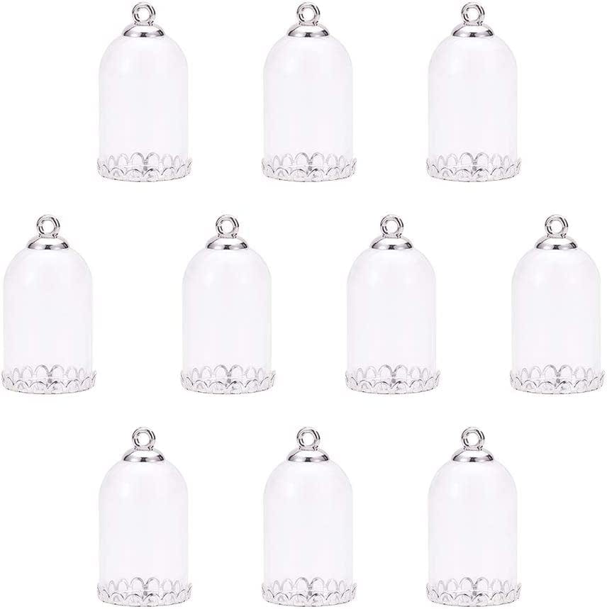 PH Pandahall 50 Pcs 12Mm Mini Empty Clear Glass Globe Bottles with Platinum & Golden Brass Bails Cap for Earring Pendant DIY Jewelry Making Platinum Cap-20 Set / 20mm Glass Globe