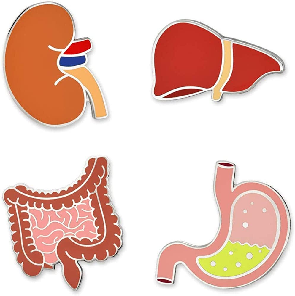 Pinmart the Human Medical Enamel Lapel Pin Set of 4 Pins / 4pc Gift Set